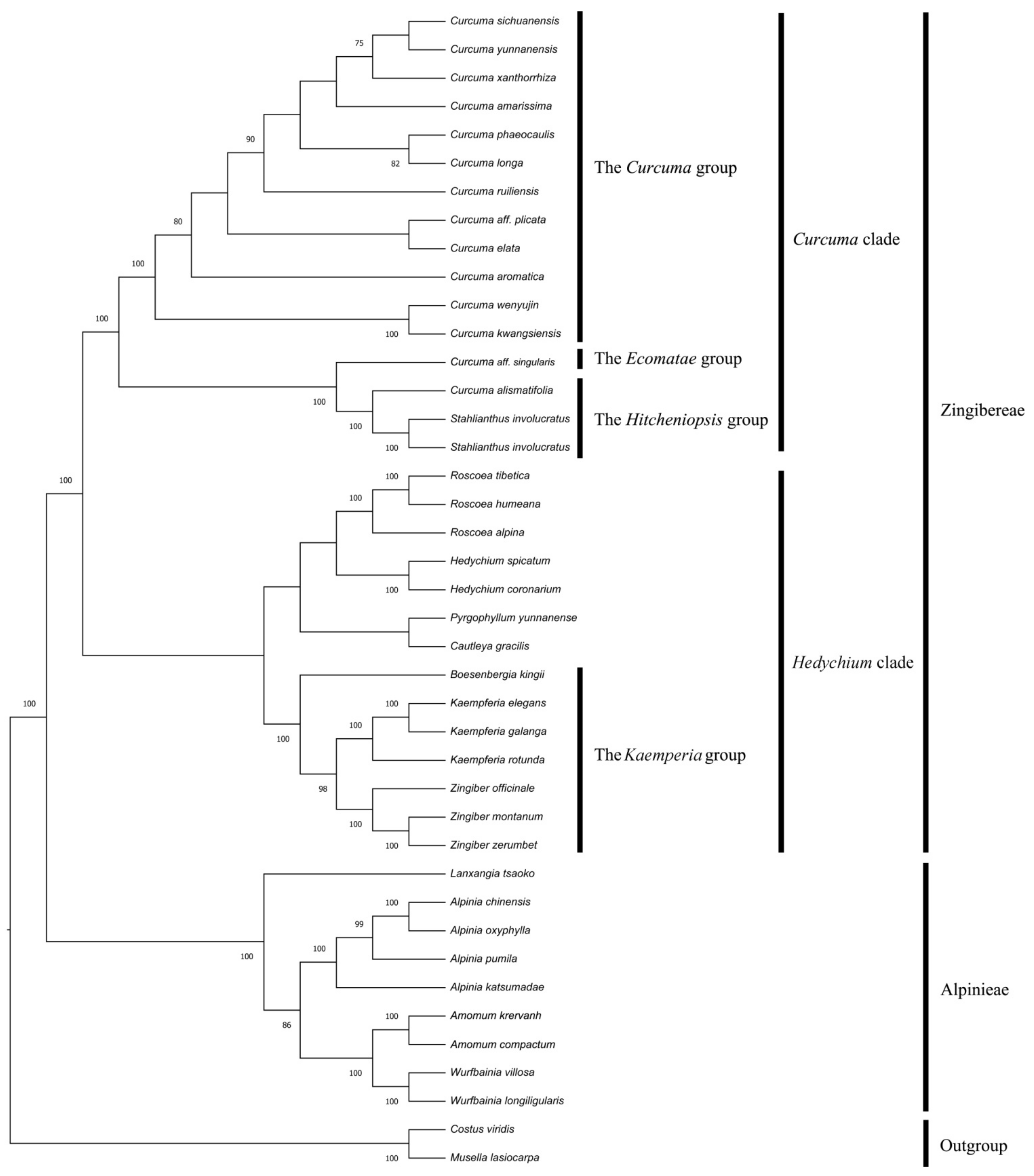 Forests 12 00710 g009