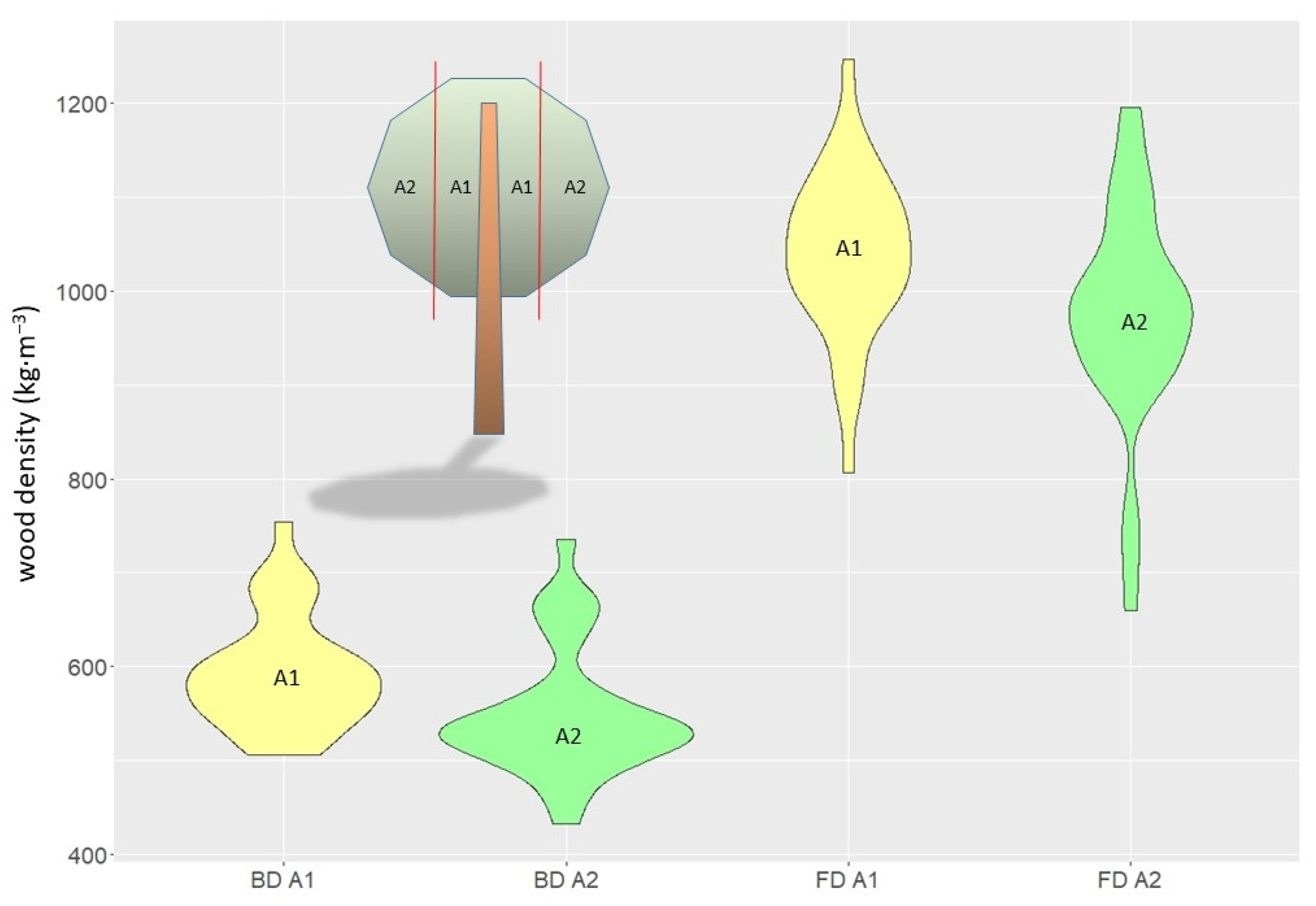 Forests 12 00712 g005