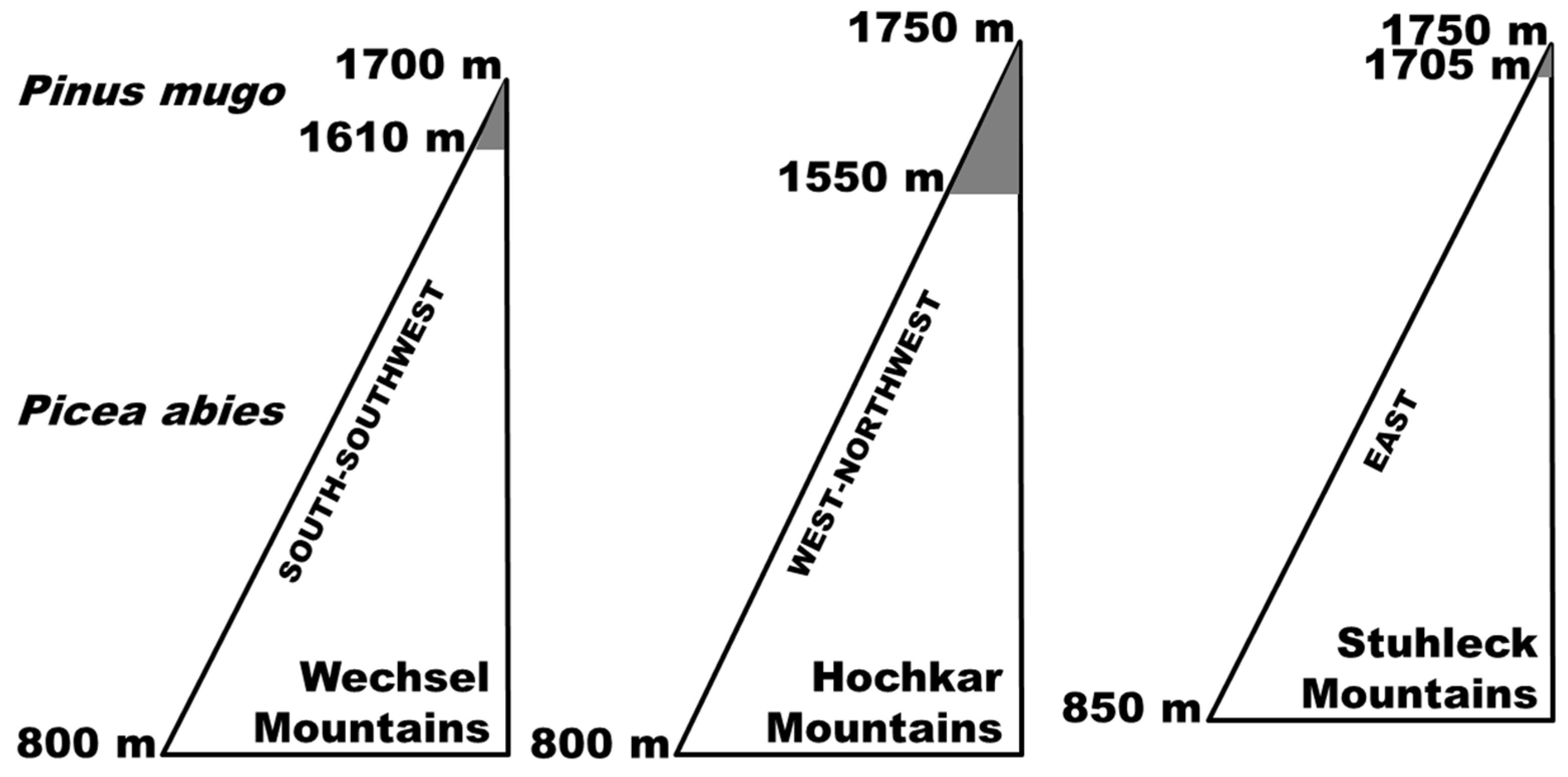Forests 12 00716 g001