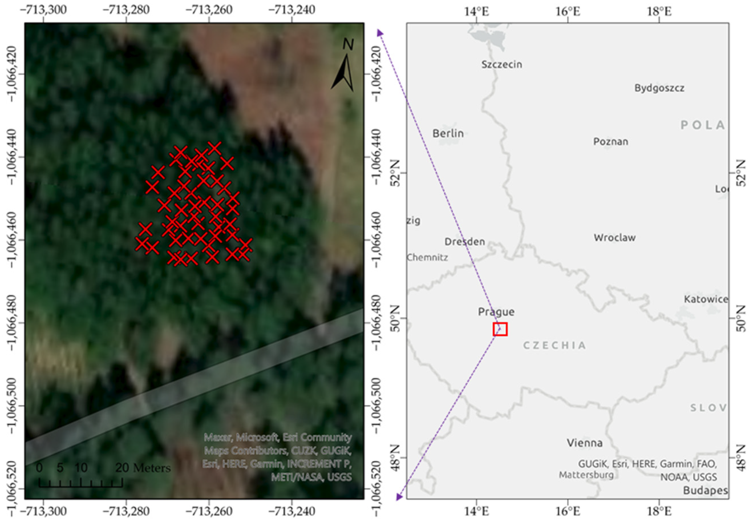 Forests 12 00717 g001