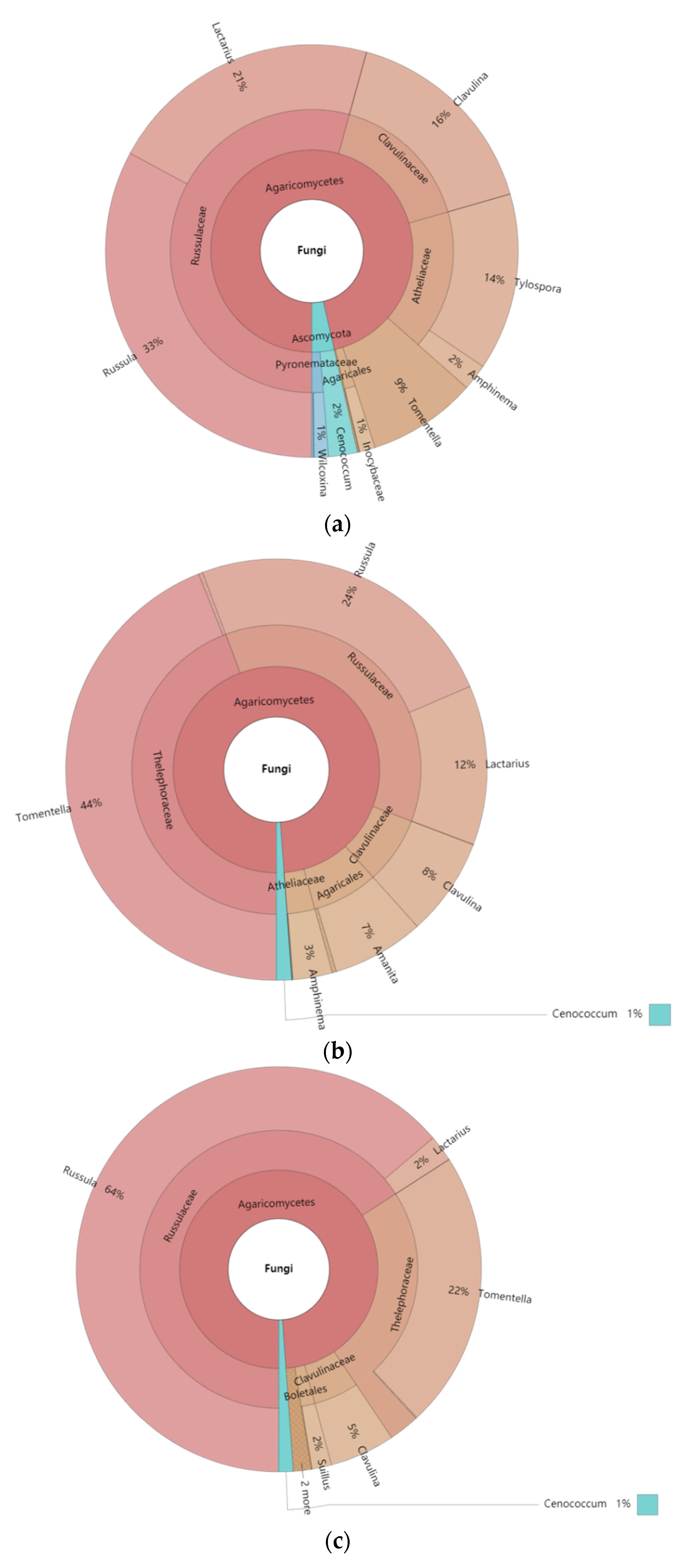 Forests 12 00719 g002