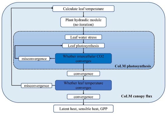 Forests 12 00722 g0a1