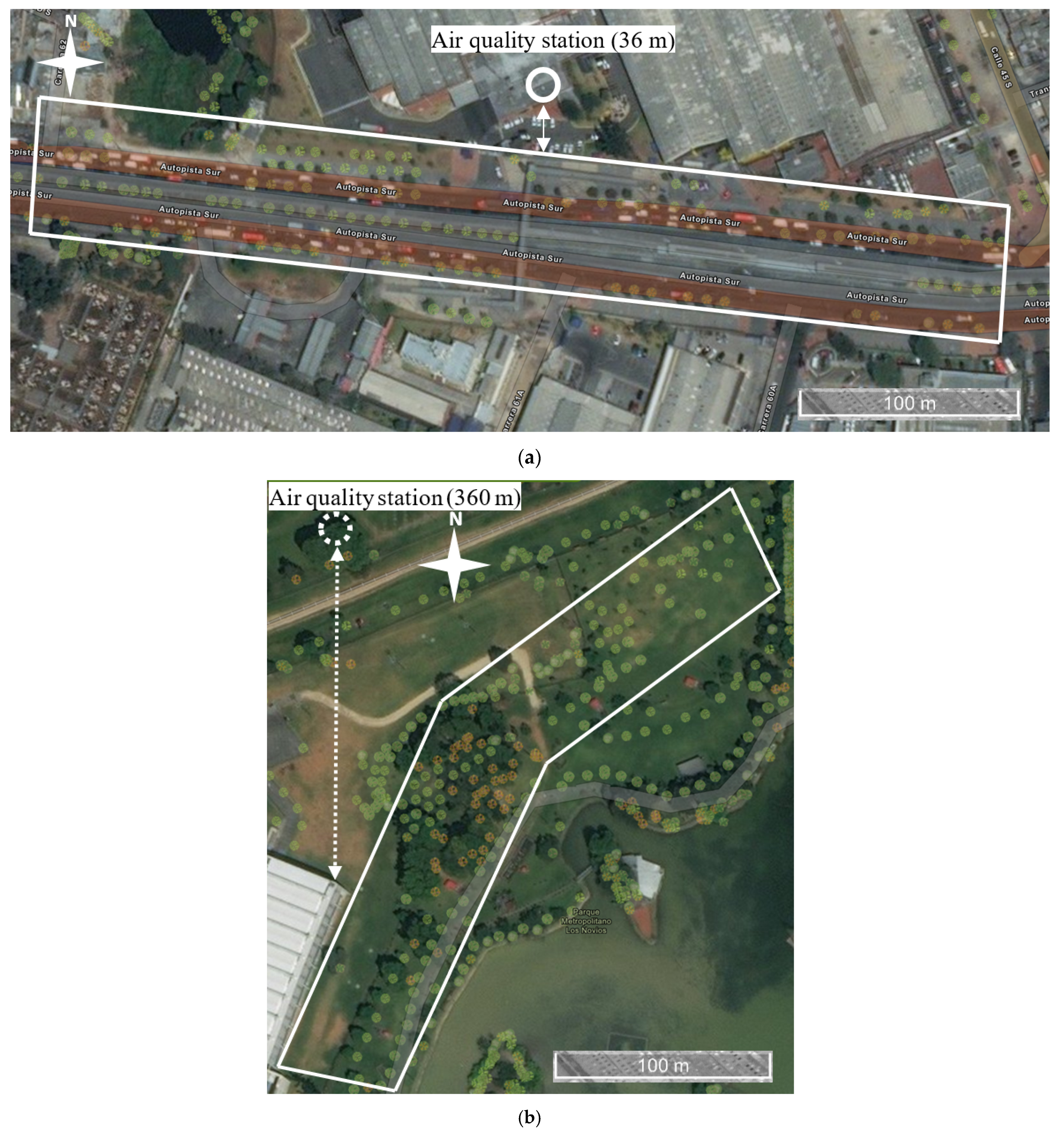 Forests 12 00723 g001