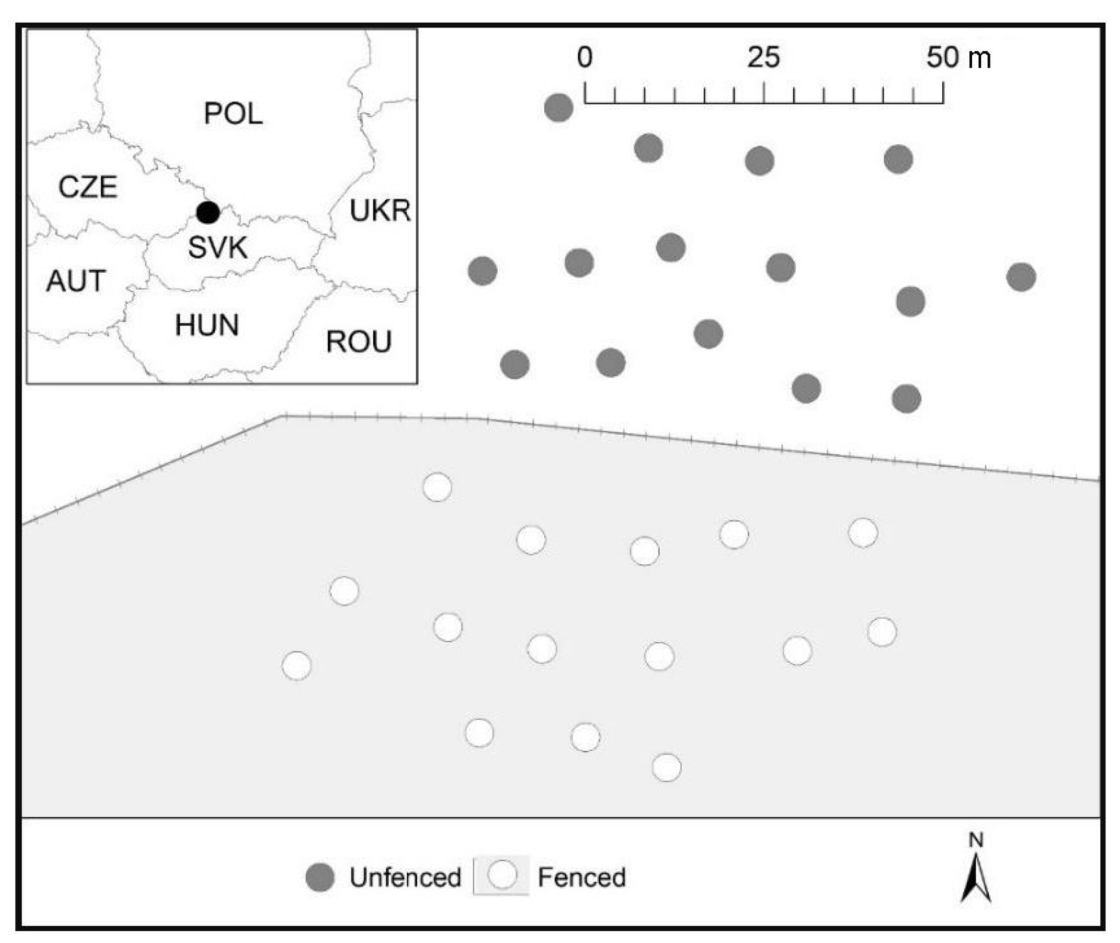Forests 12 00737 g001