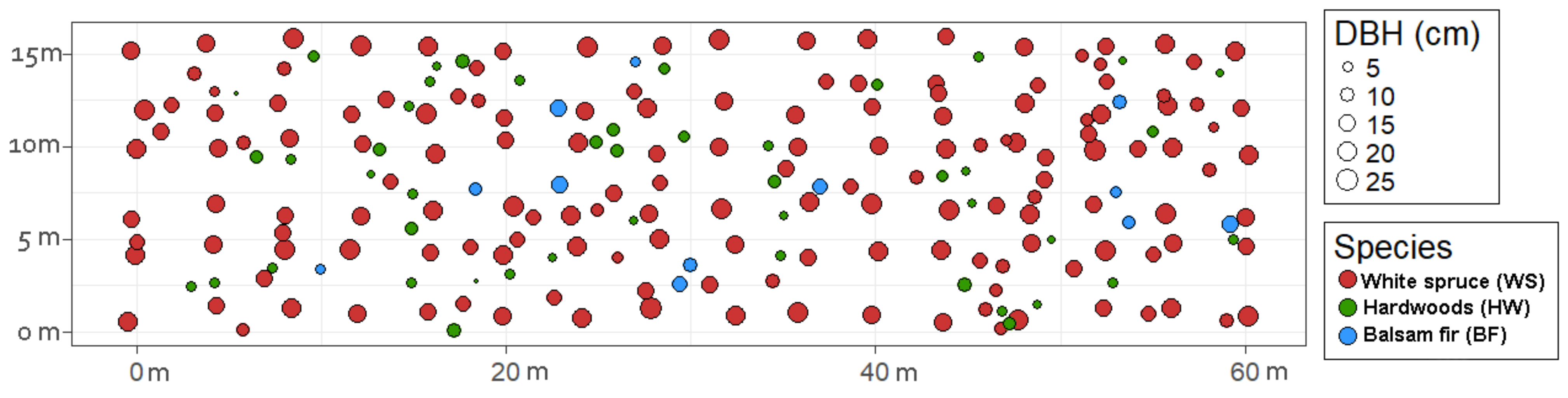 Forests 12 00740 g001