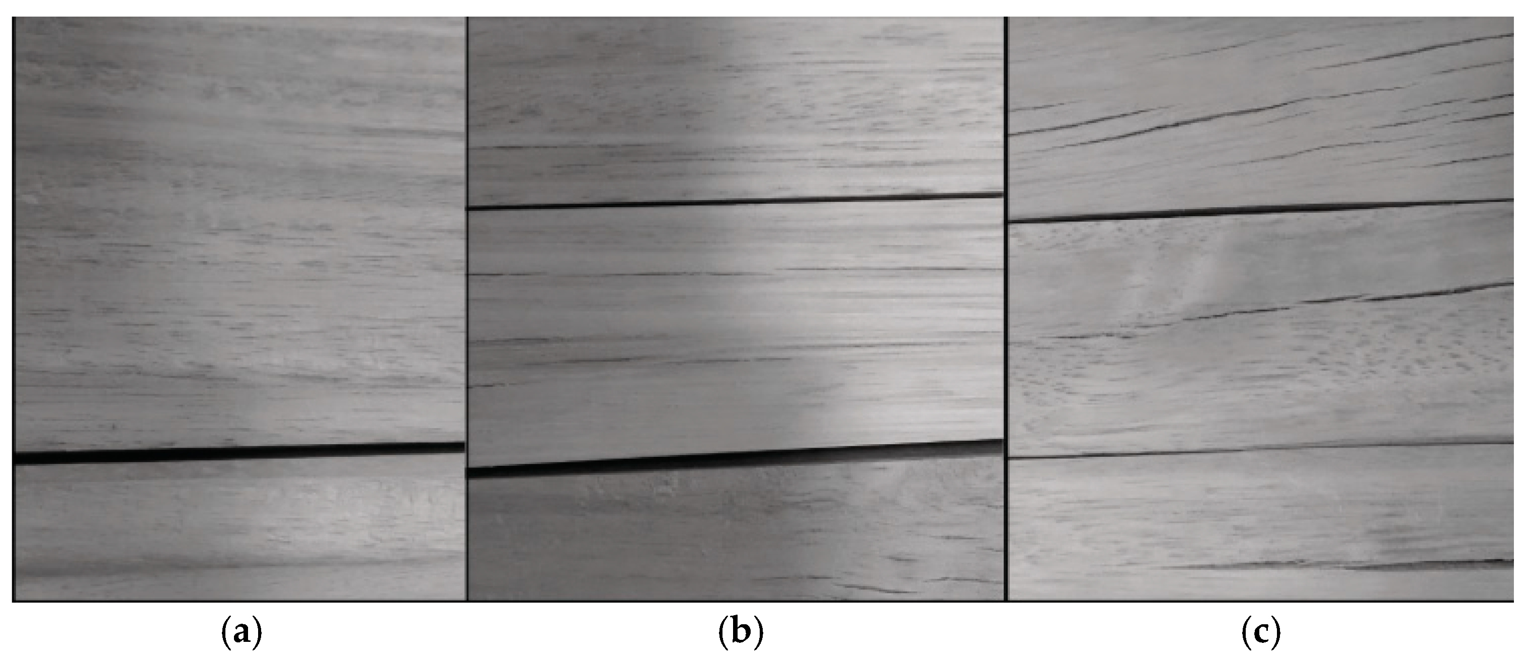 Forests 12 00745 g006