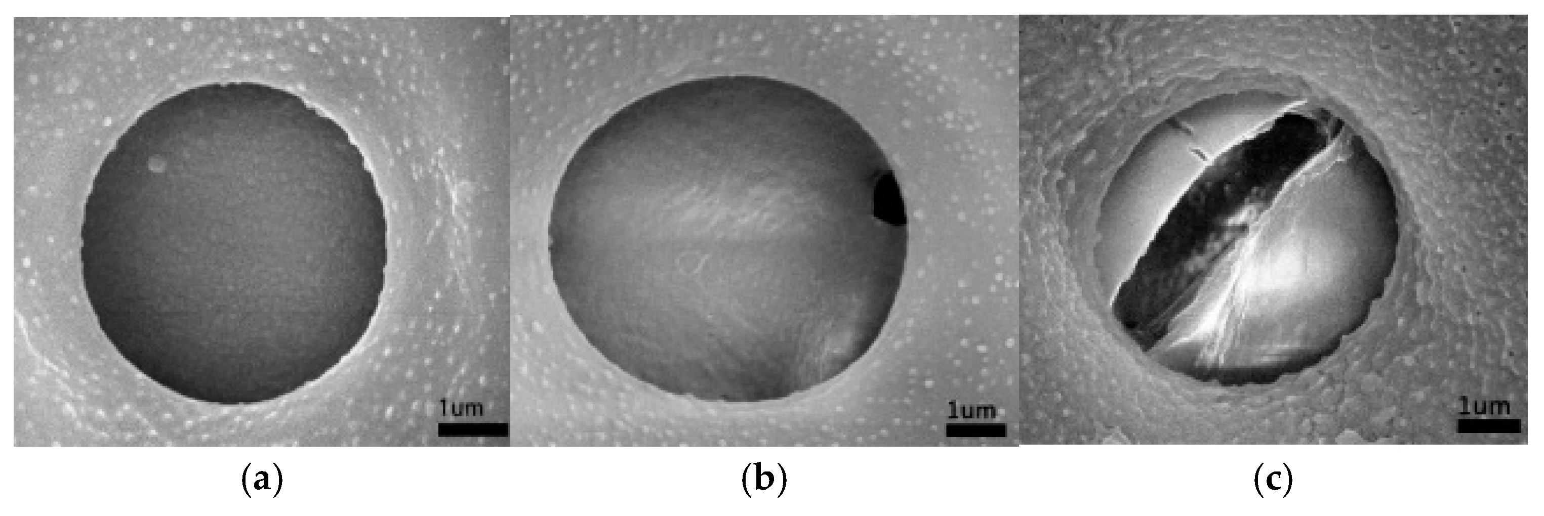 Forests 12 00745 g008