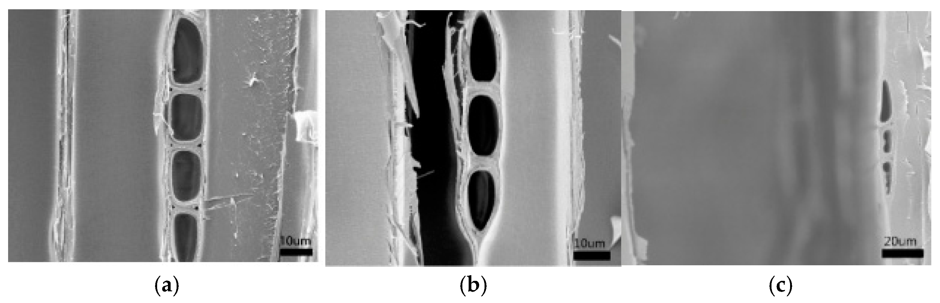 Forests 12 00745 g009