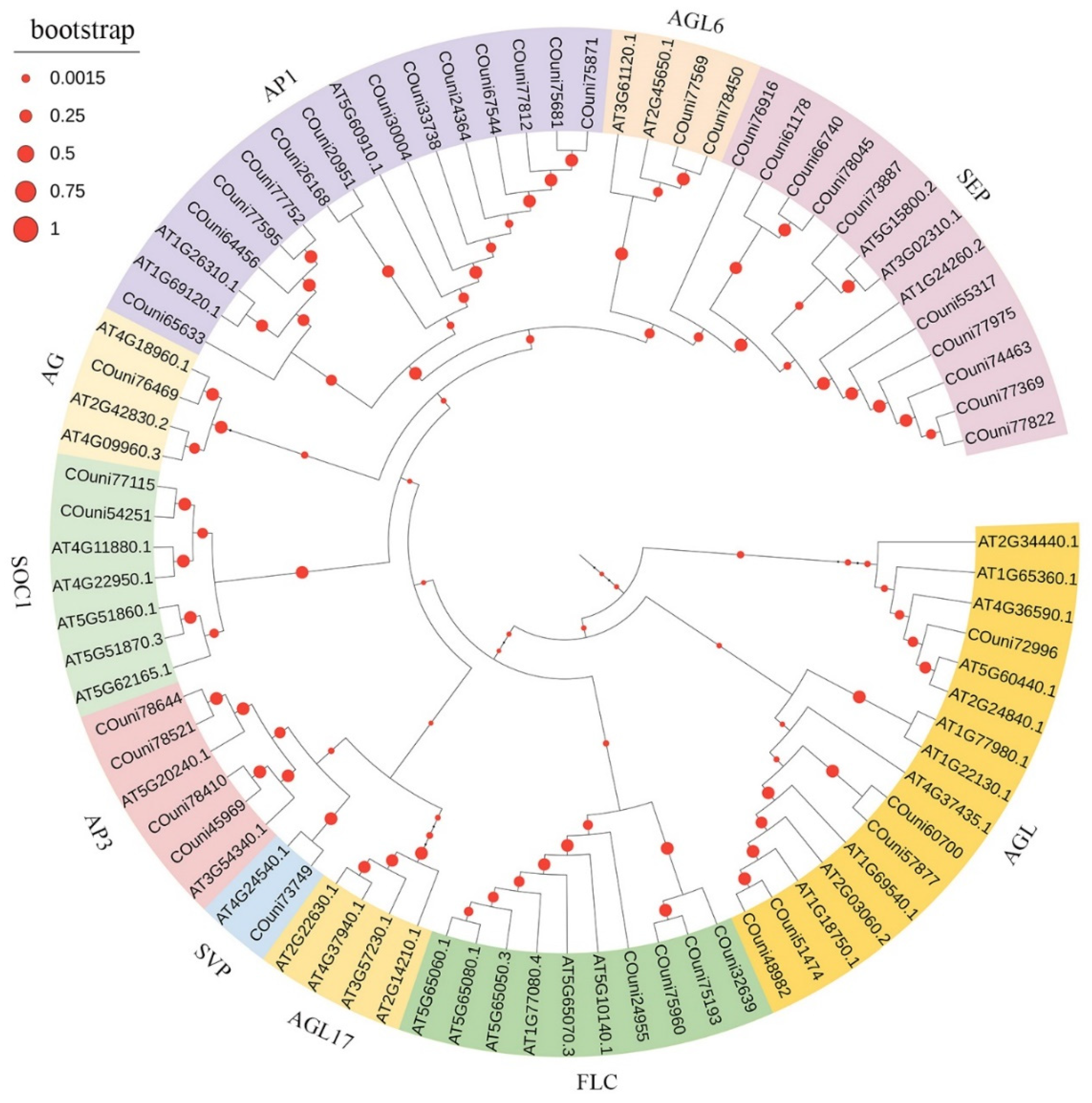 Forests 12 00749 g003
