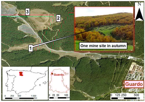 Forests 12 00773 g0a1