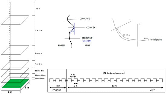 Forests 12 00773 g0a2