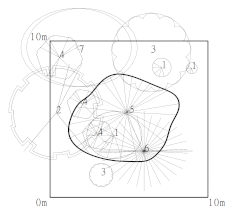 Forests 12 00774 i004