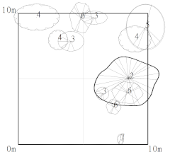 Forests 12 00774 i006