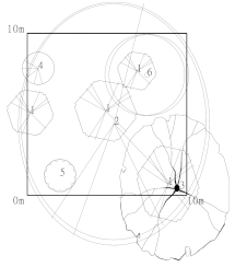 Forests 12 00774 i009