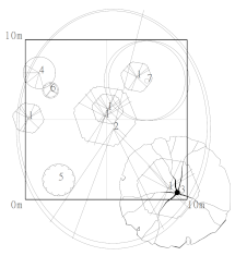 Forests 12 00774 i010