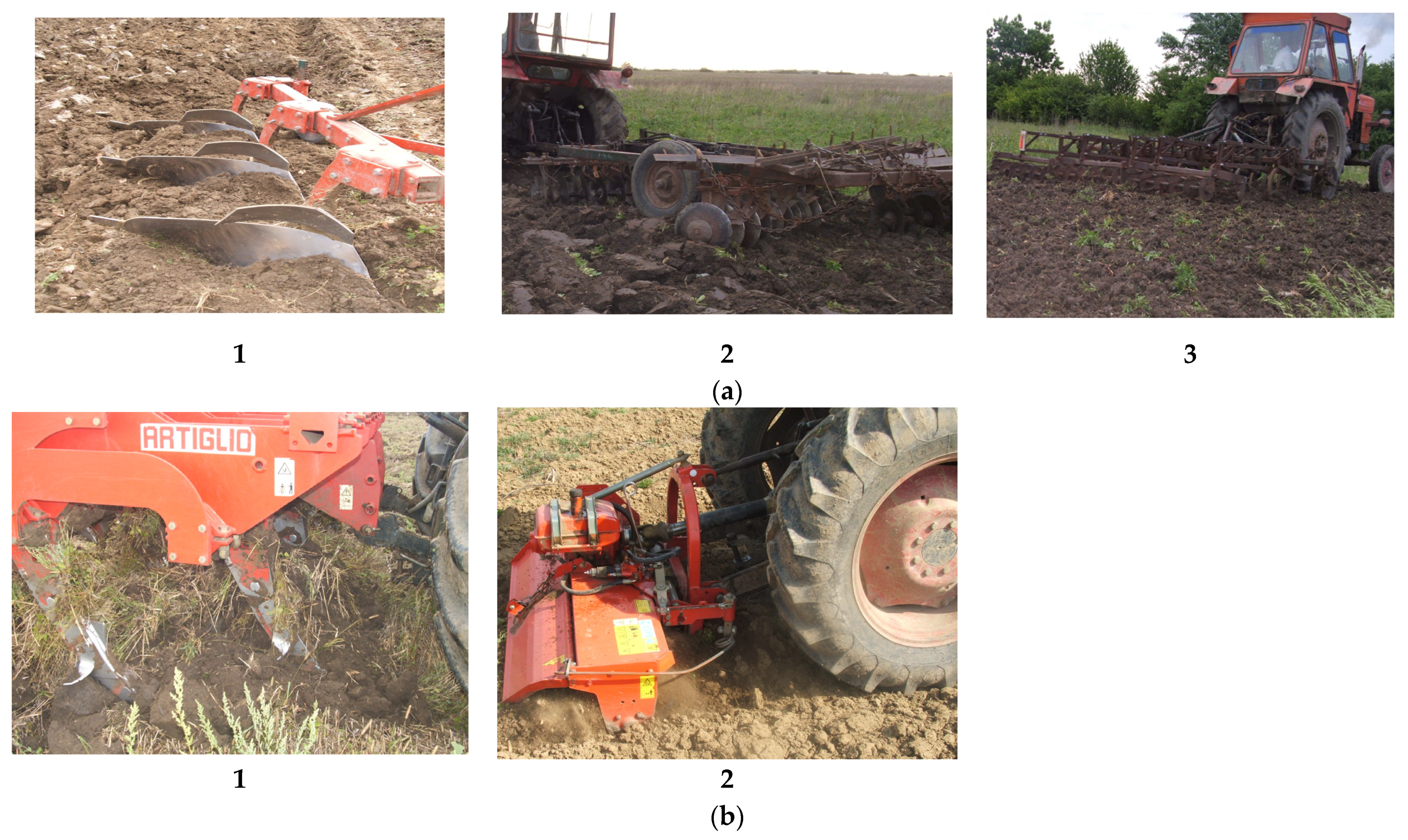 Forests 12 00782 g002