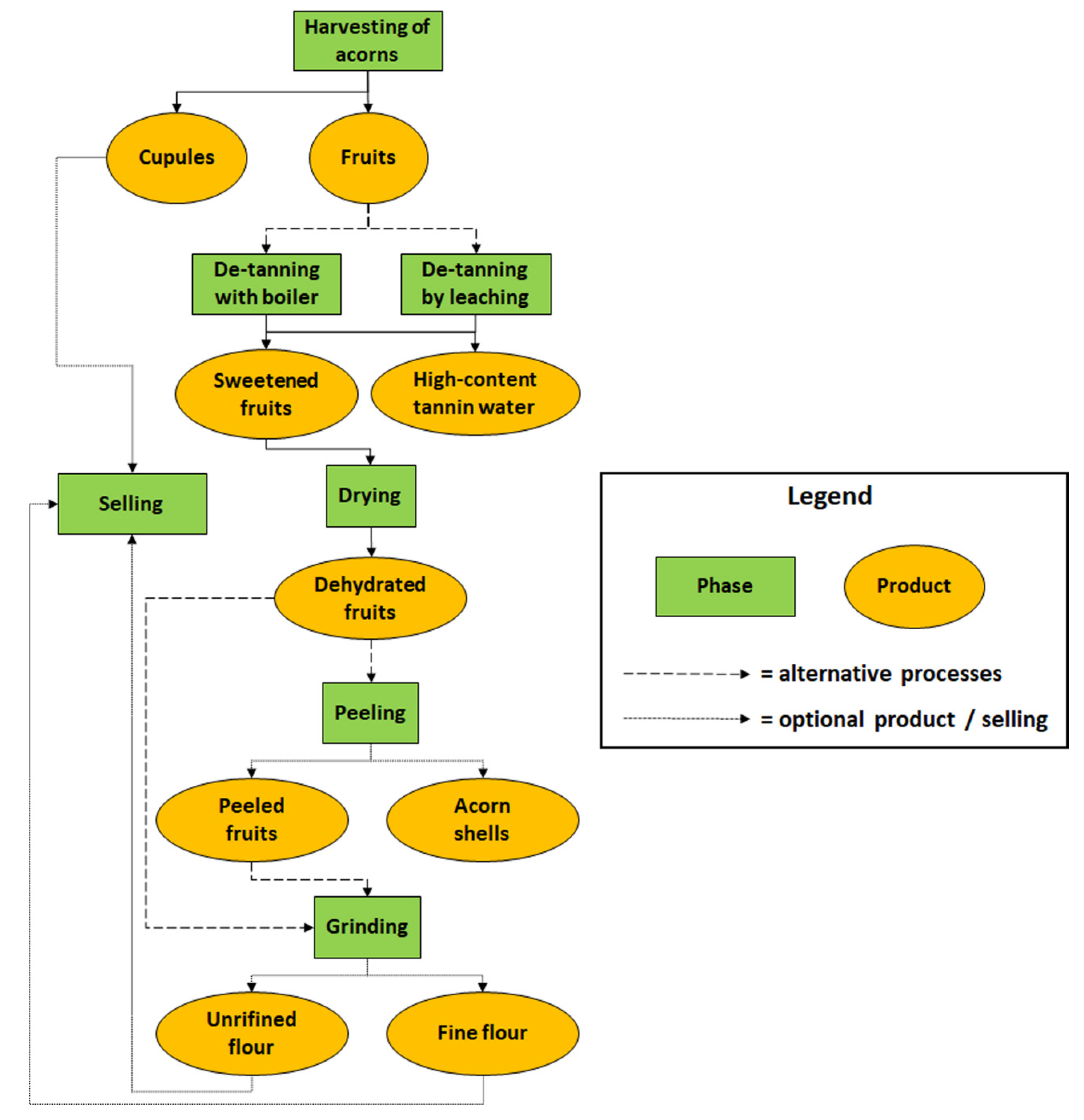 Forests 12 00784 g001