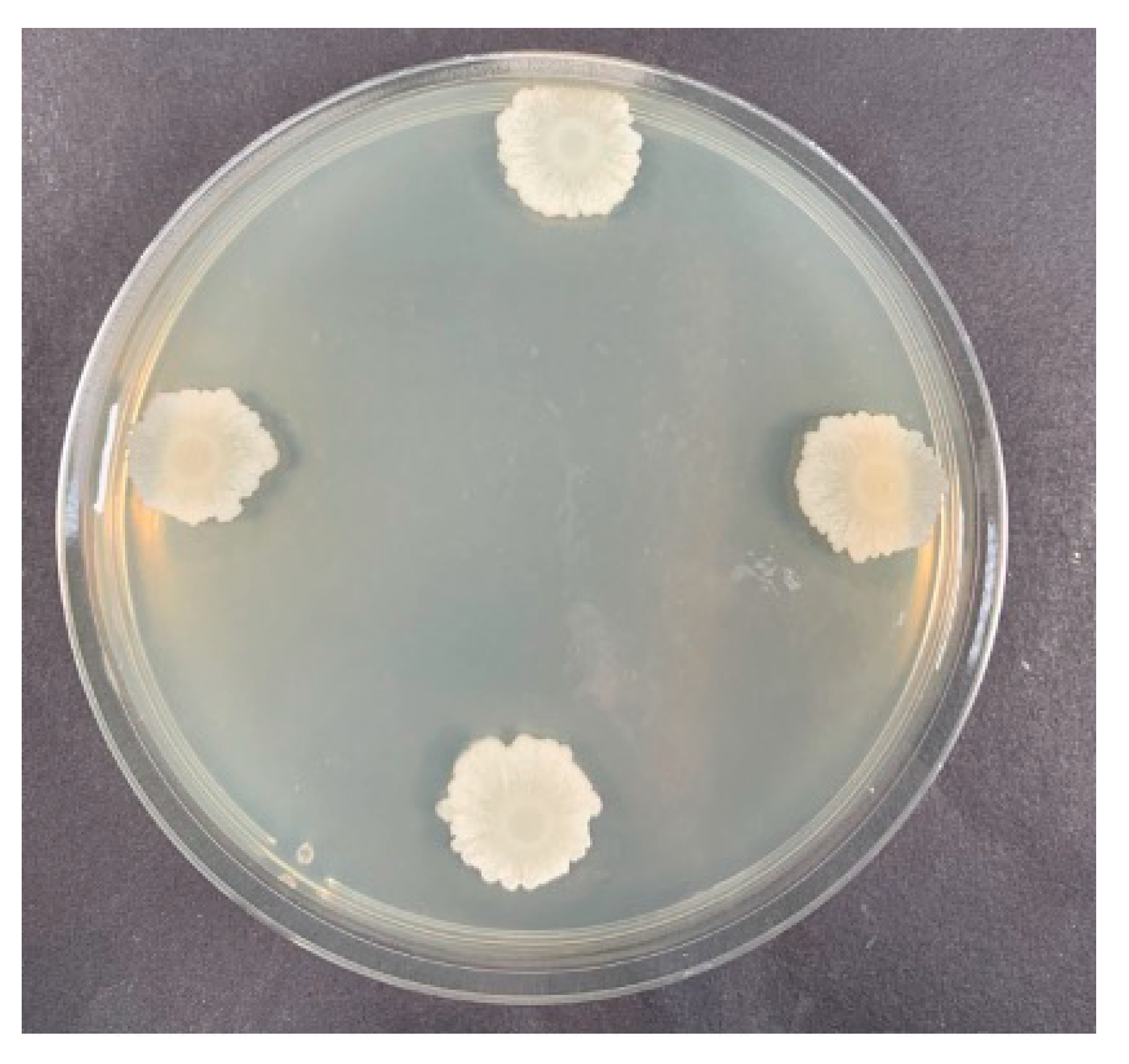 Forests 12 00785 g004 Forests 12 00785 g004