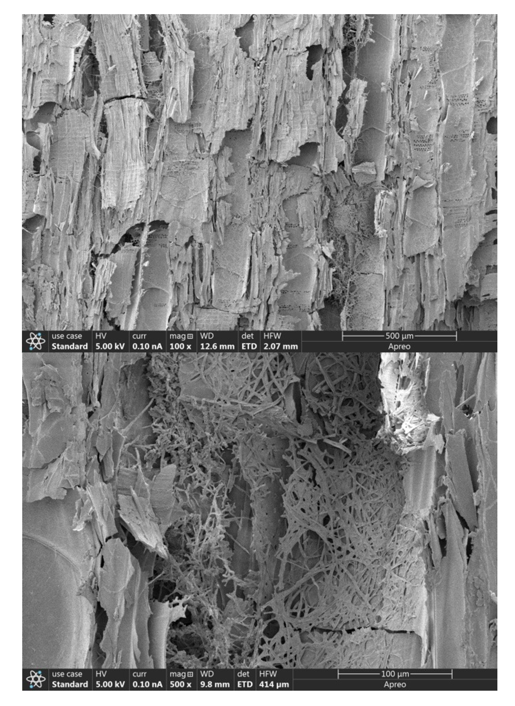 Forests 12 00785 g008 Forests 12 00785 g008