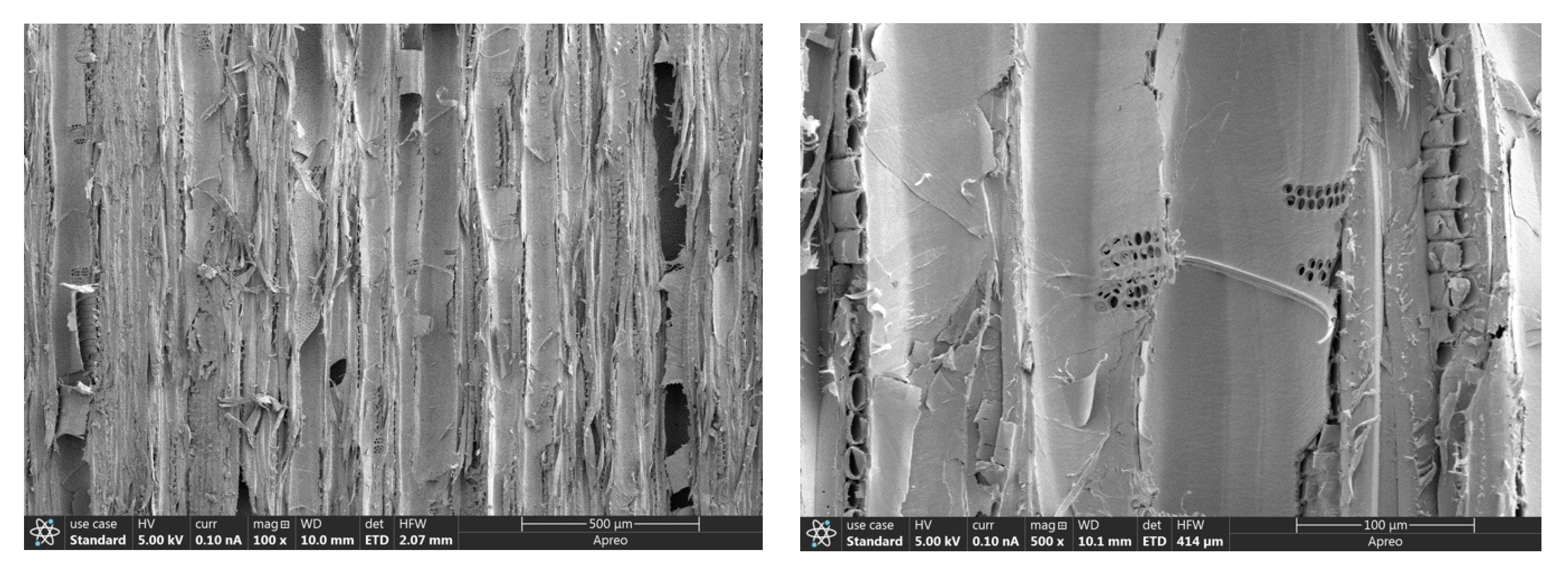 Forests 12 00785 g009 Forests 12 00785 g009