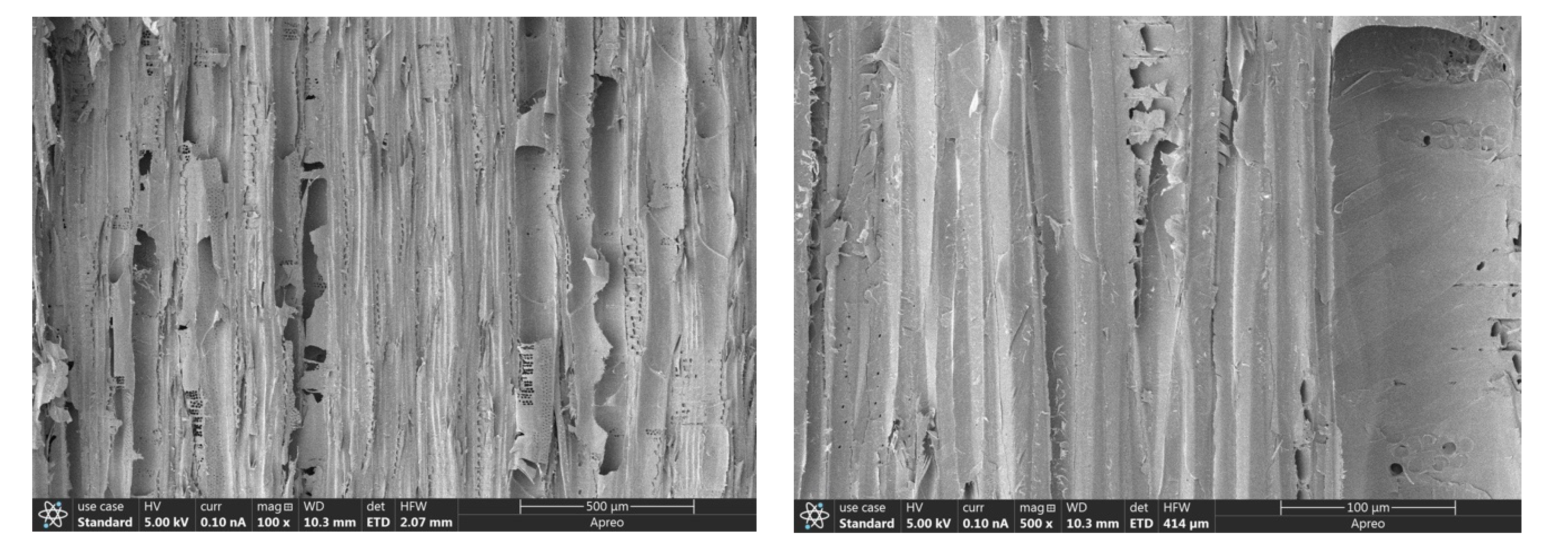 Forests 12 00785 g010 Forests 12 00785 g010