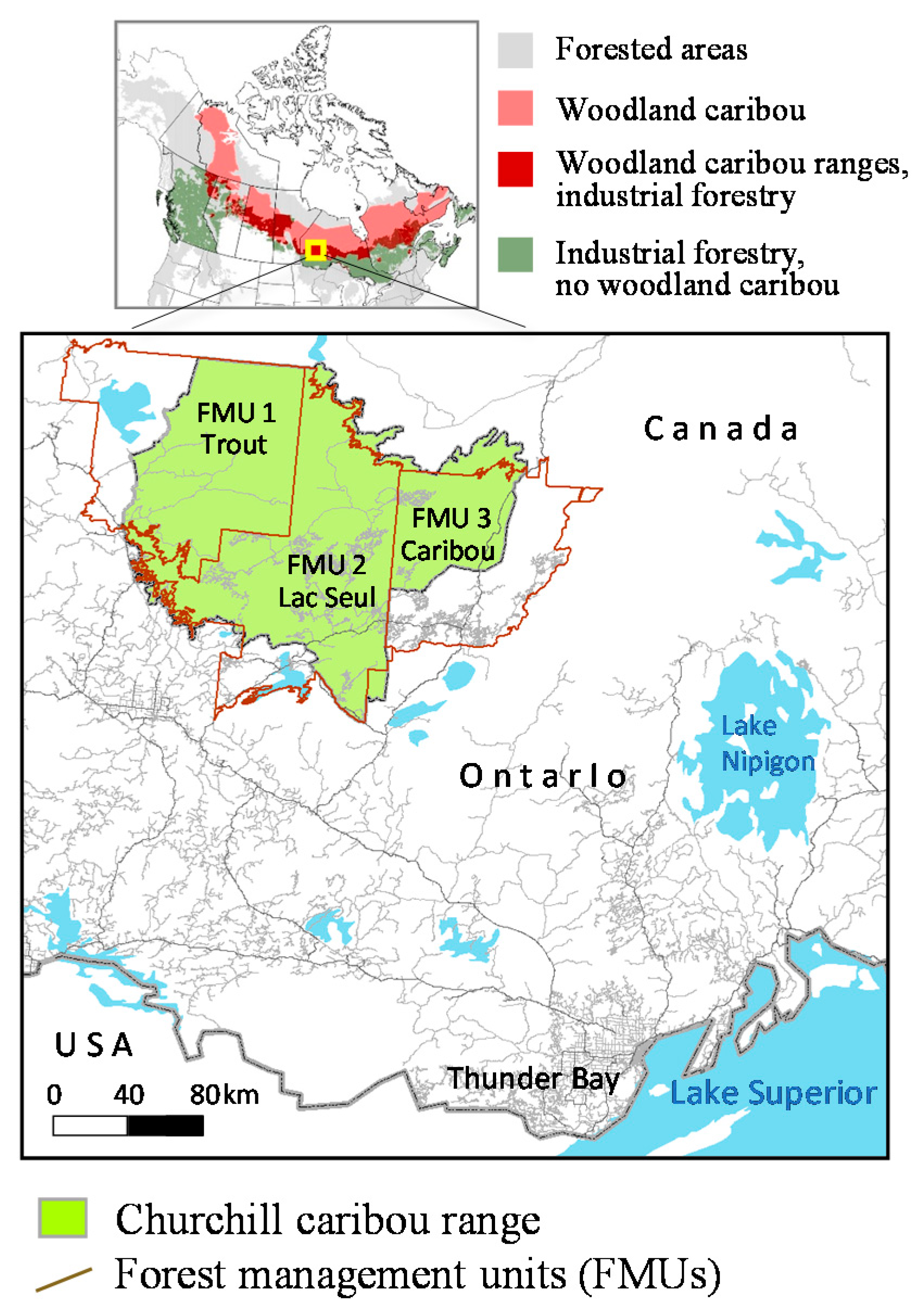 Forests 12 00809 g001