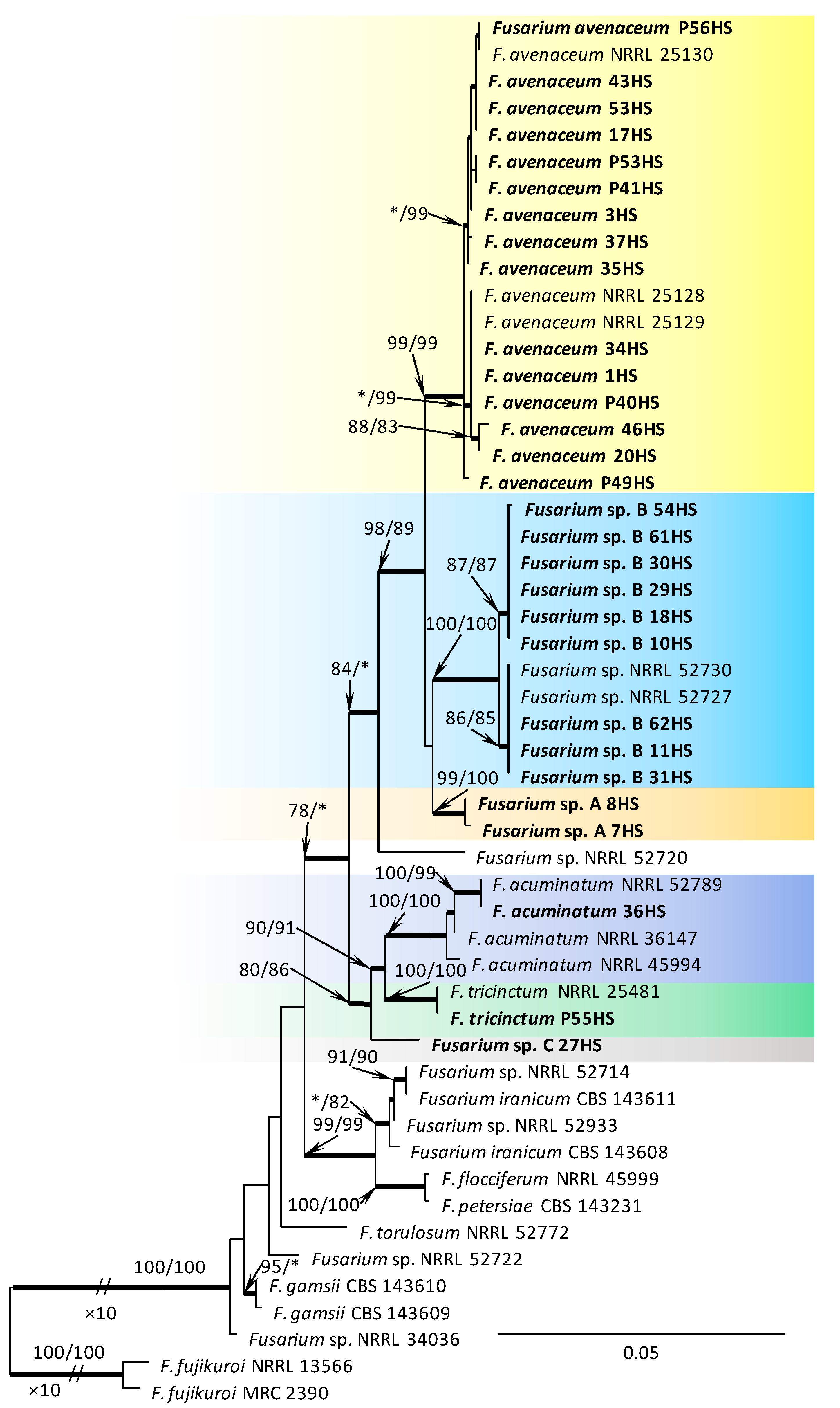 Forests 12 00811 g004 Forests 12 00811 g004