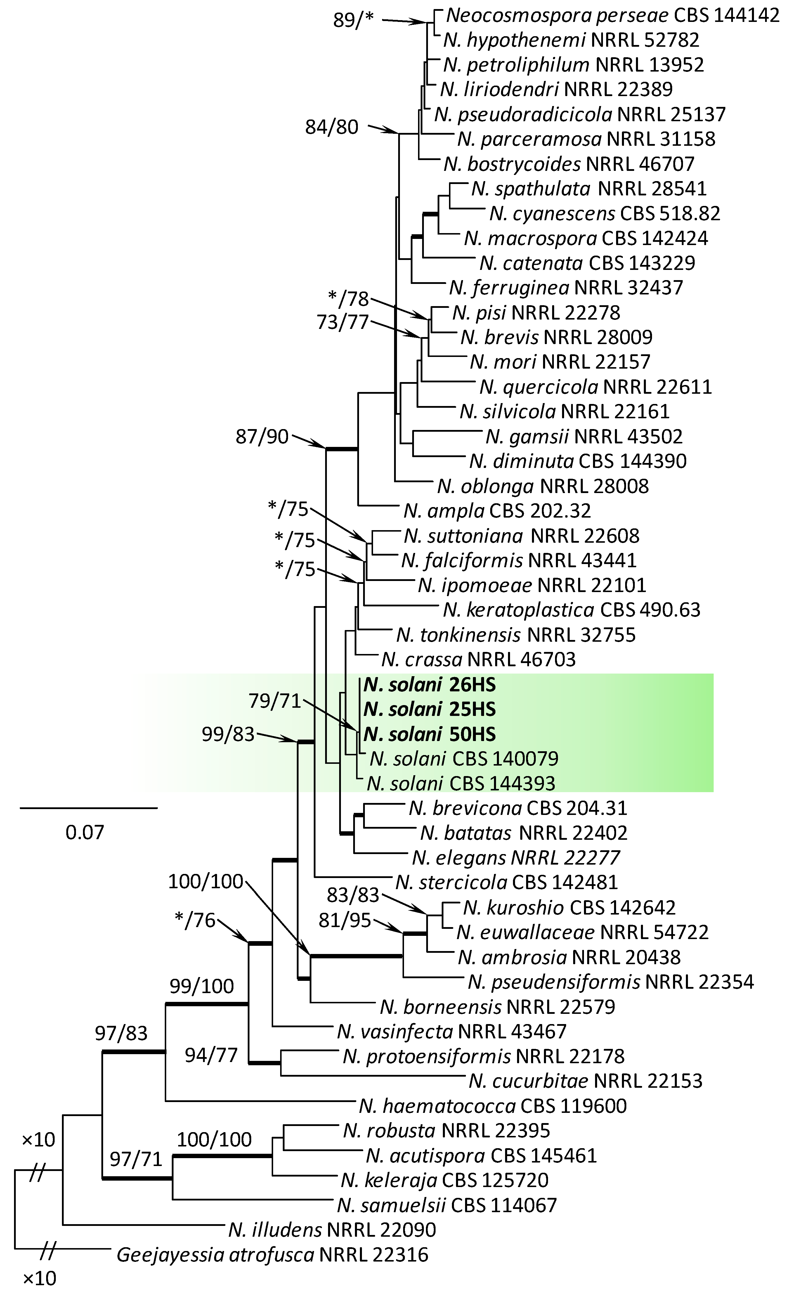 Forests 12 00811 g005 Forests 12 00811 g005