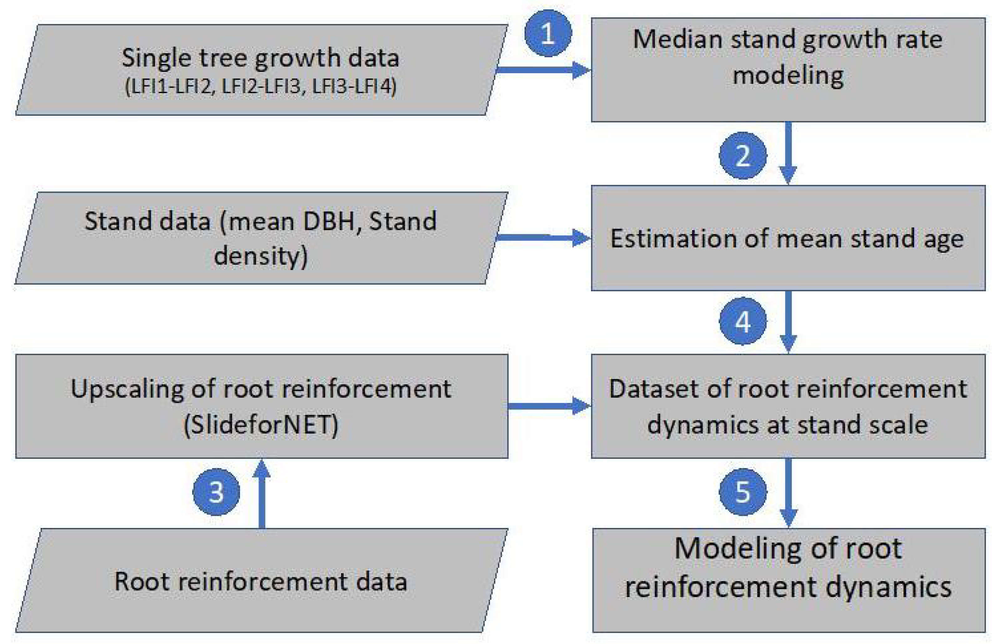 Forests 12 00815 g001