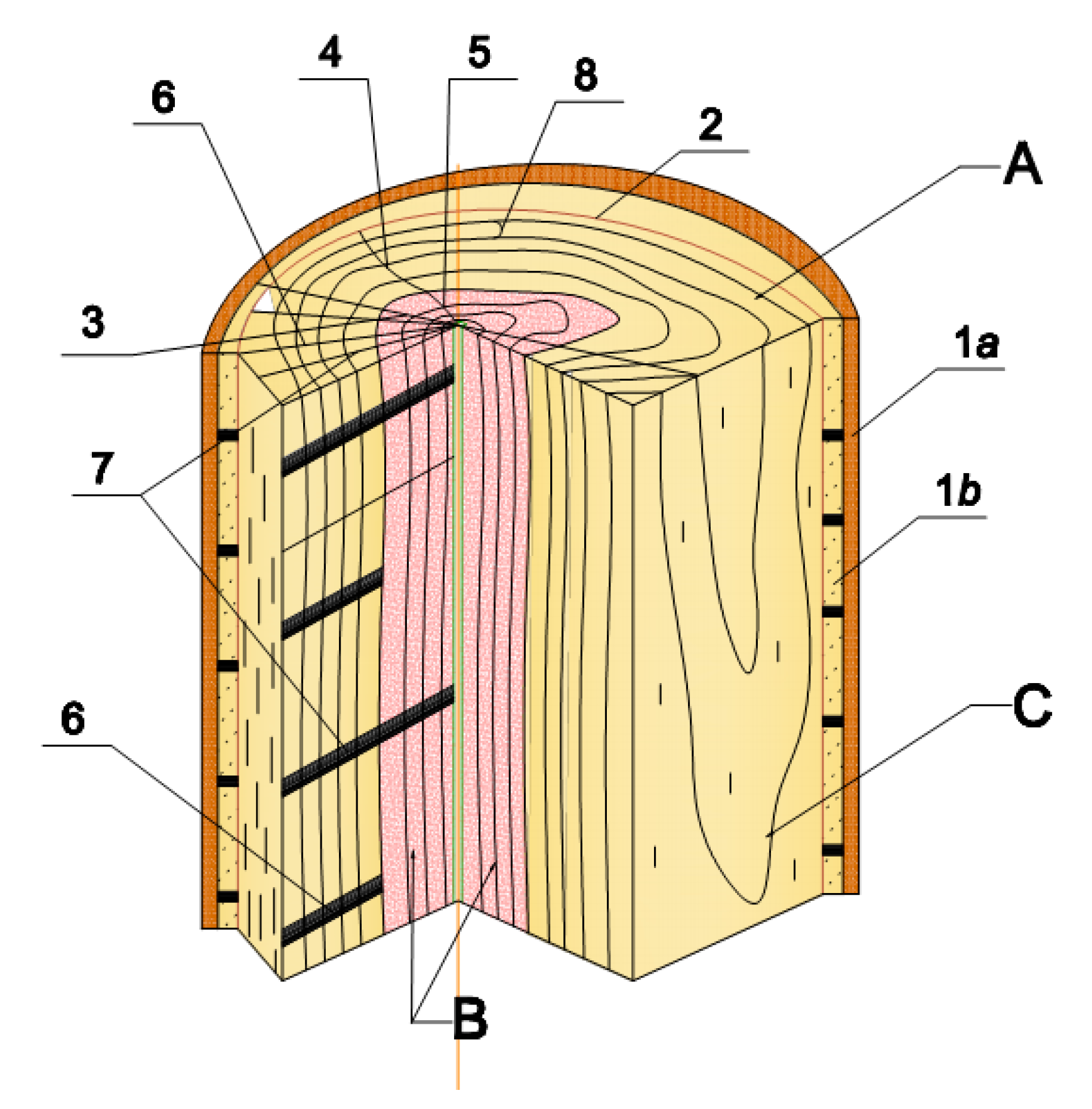 Forests 12 00826 g001