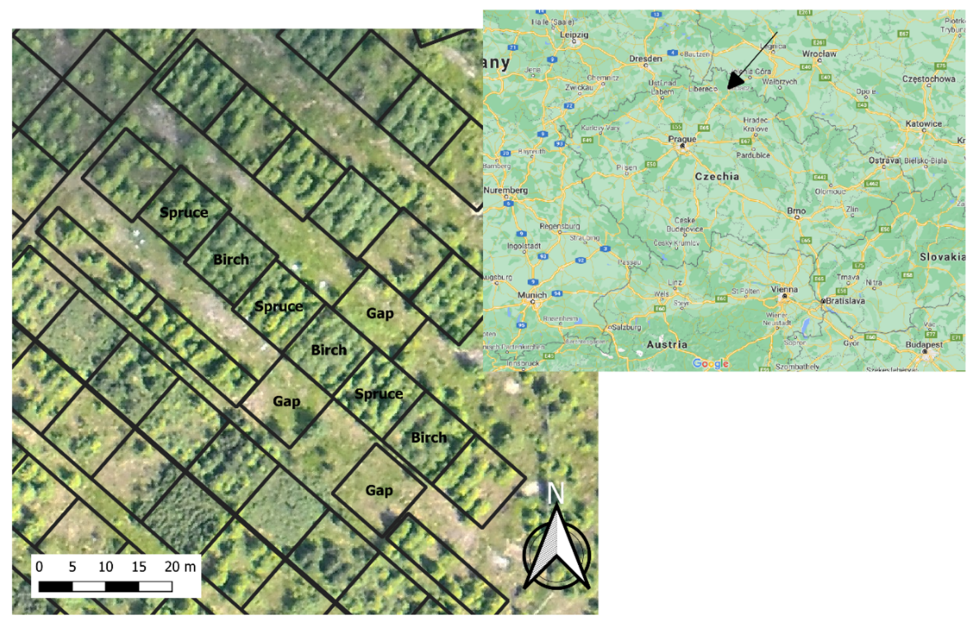 Forests 12 00828 g001 Forests 12 00828 g001
