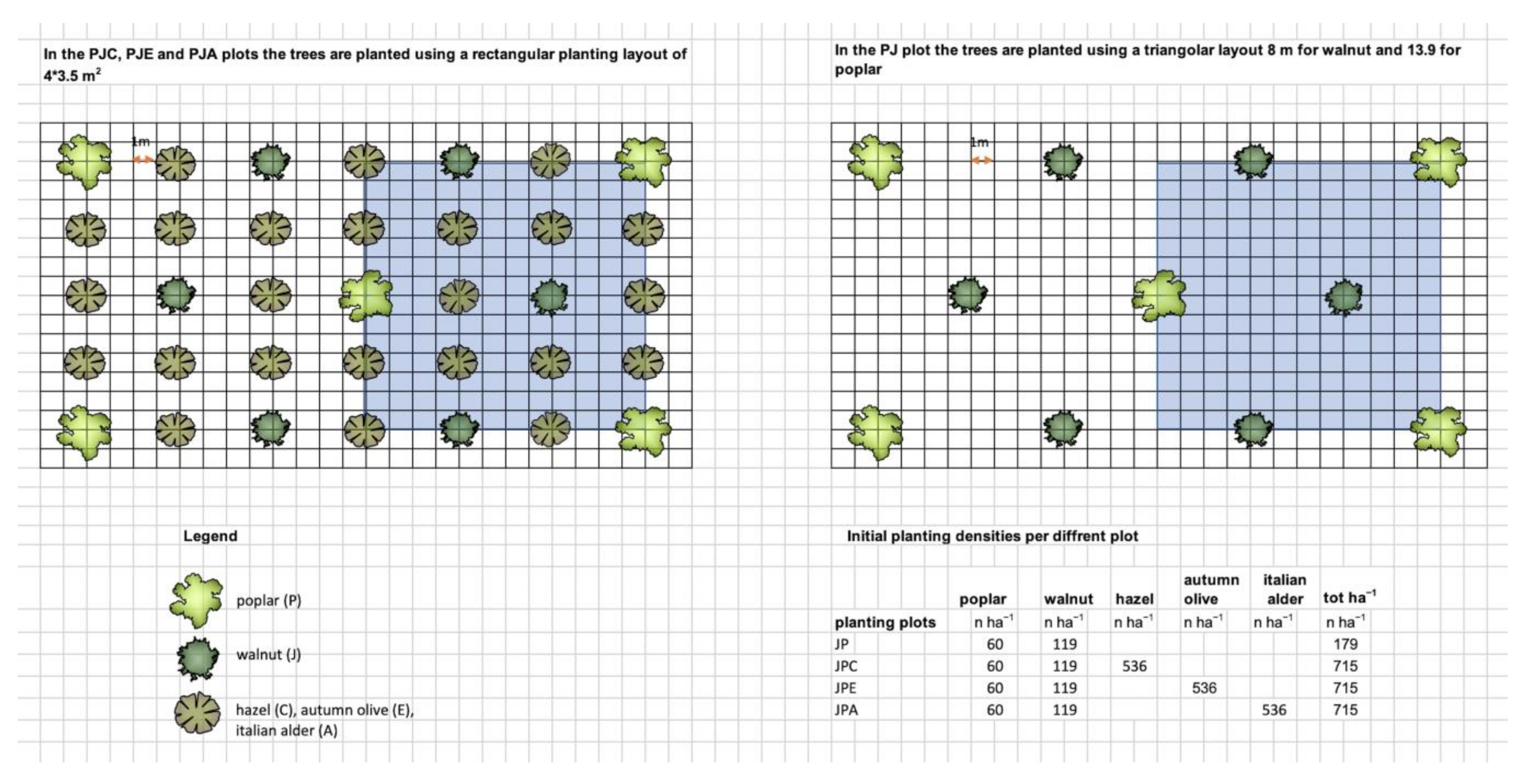 Forests 12 00842 g001