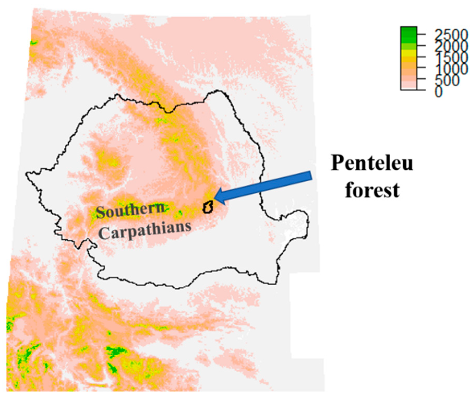 Forests 12 00885 g001