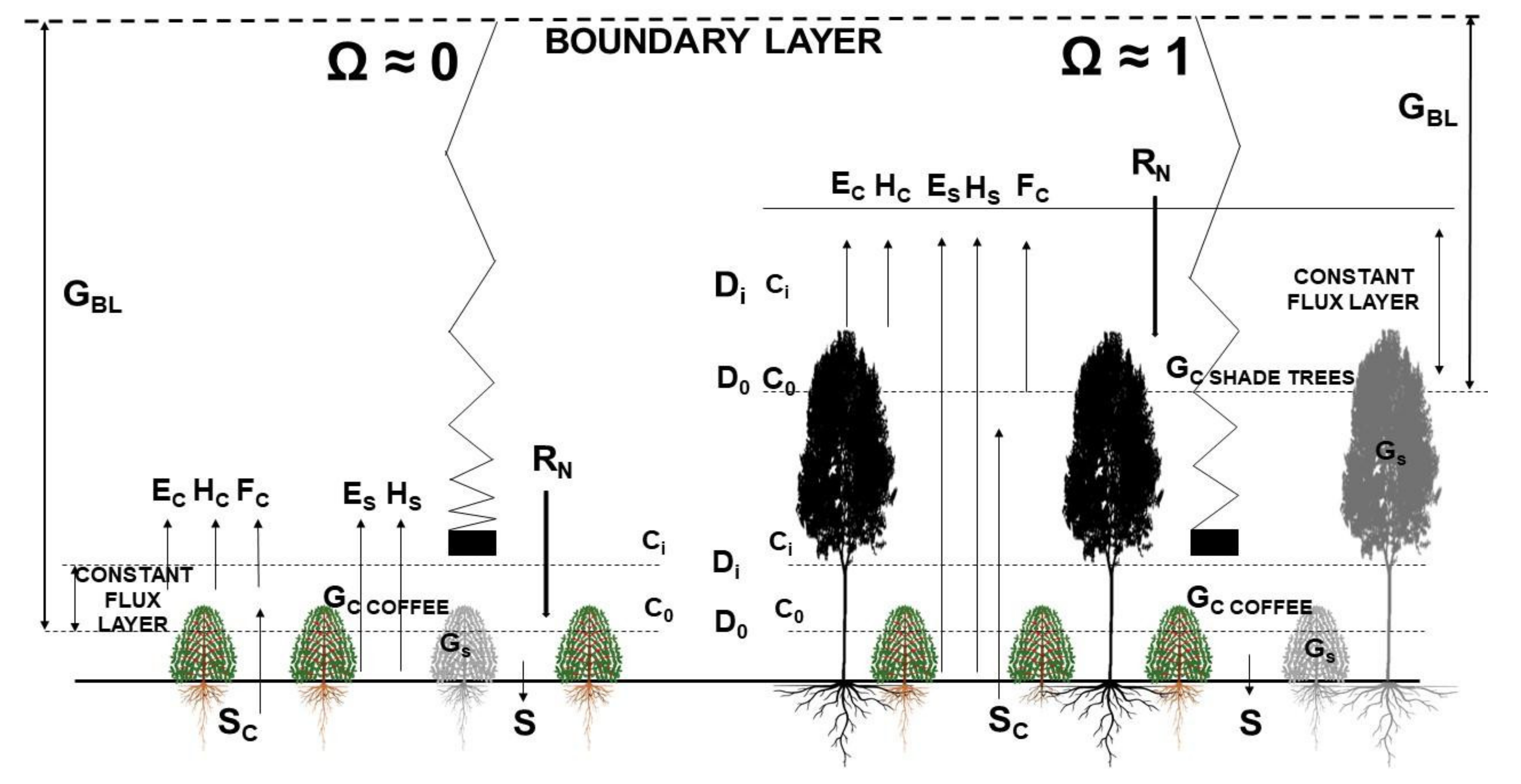 Forests 12 00889 g001