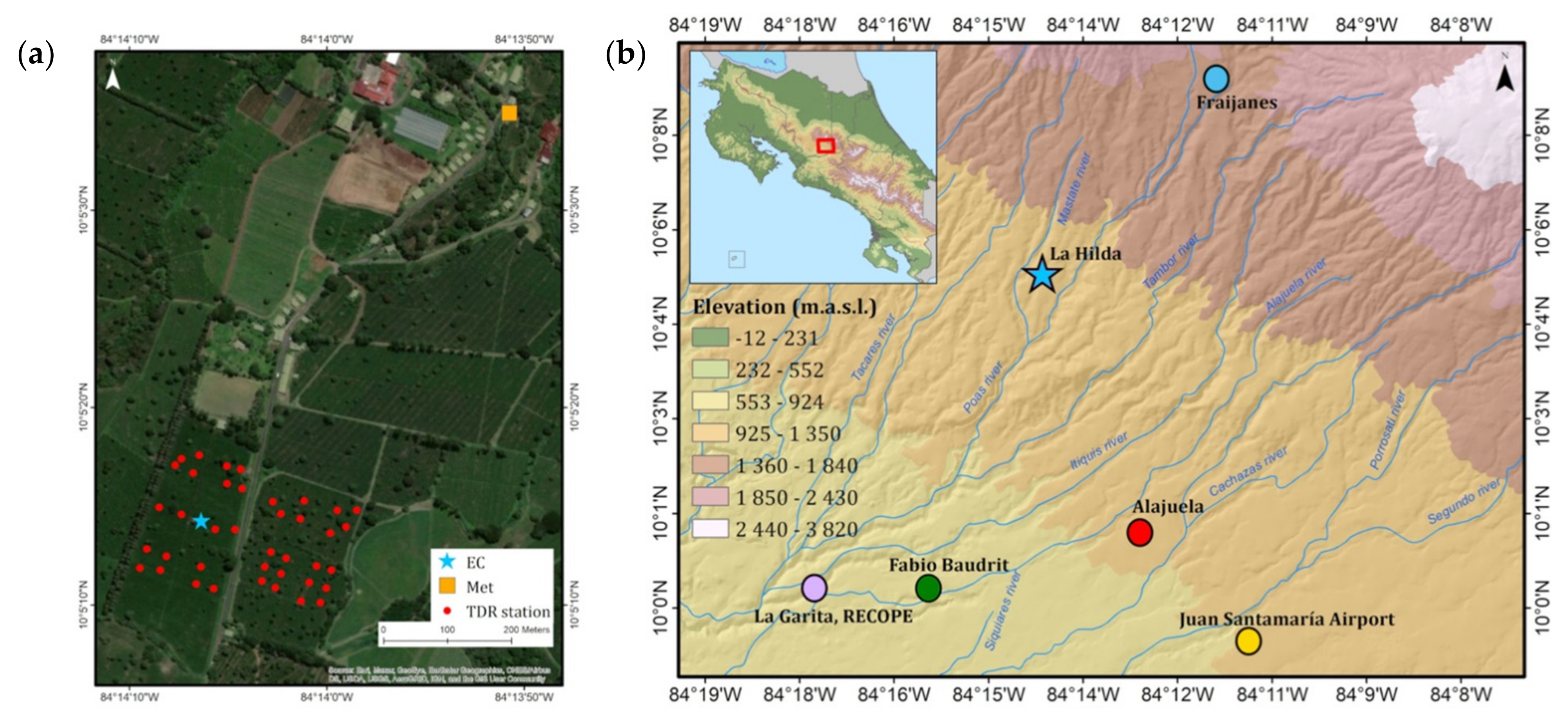 Forests 12 00889 g002