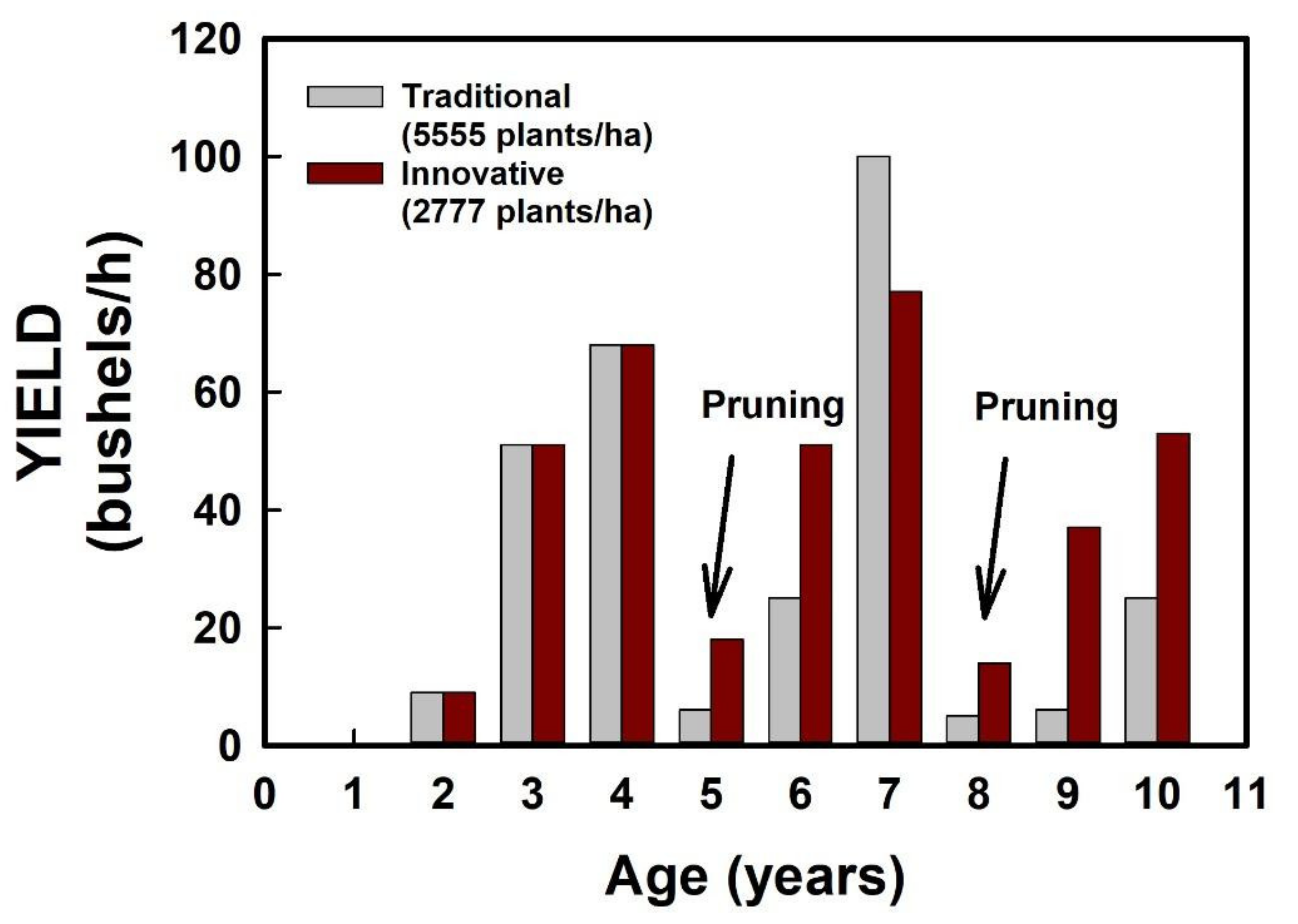 Forests 12 00889 g006