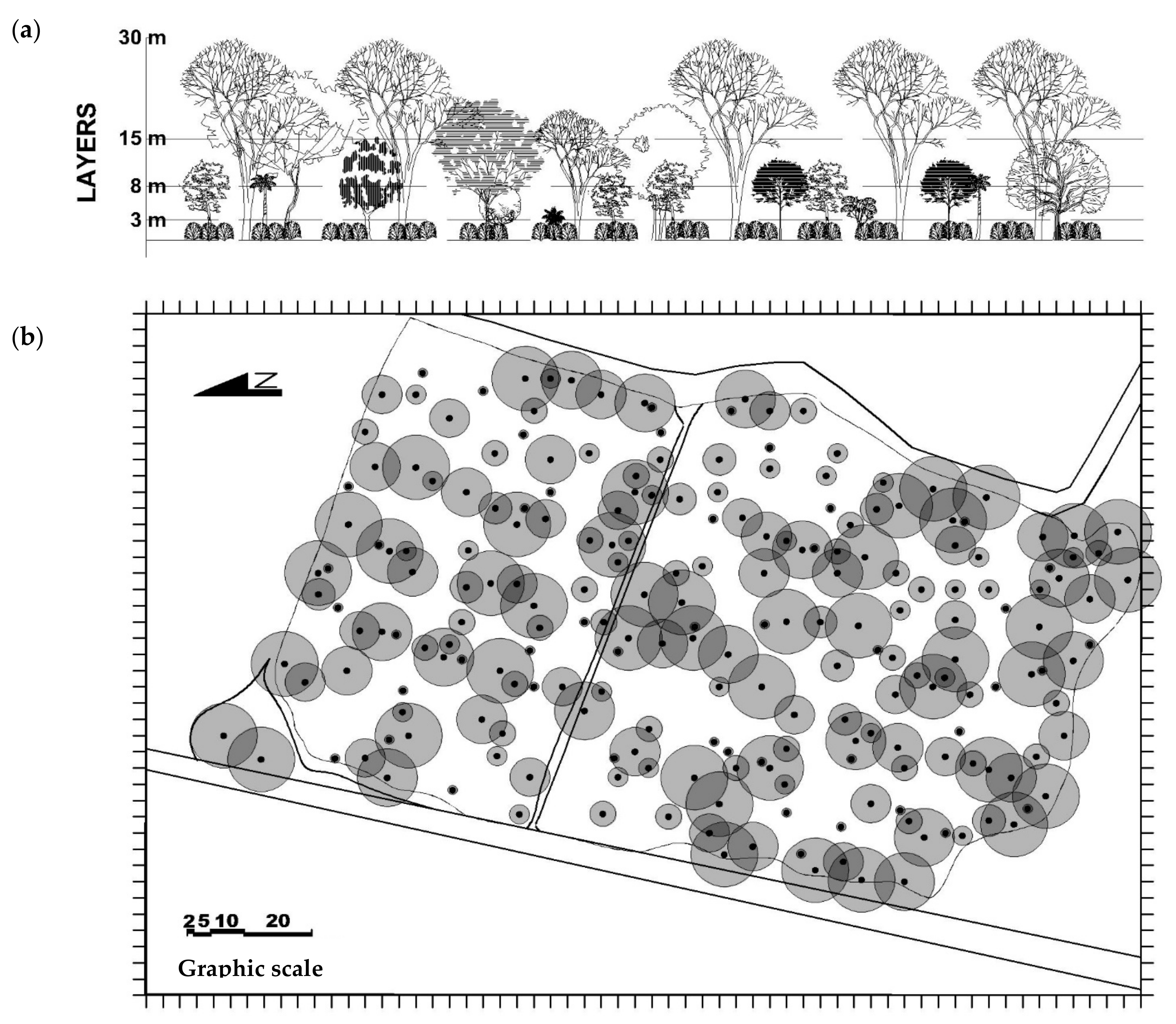 Forests 12 00889 g011