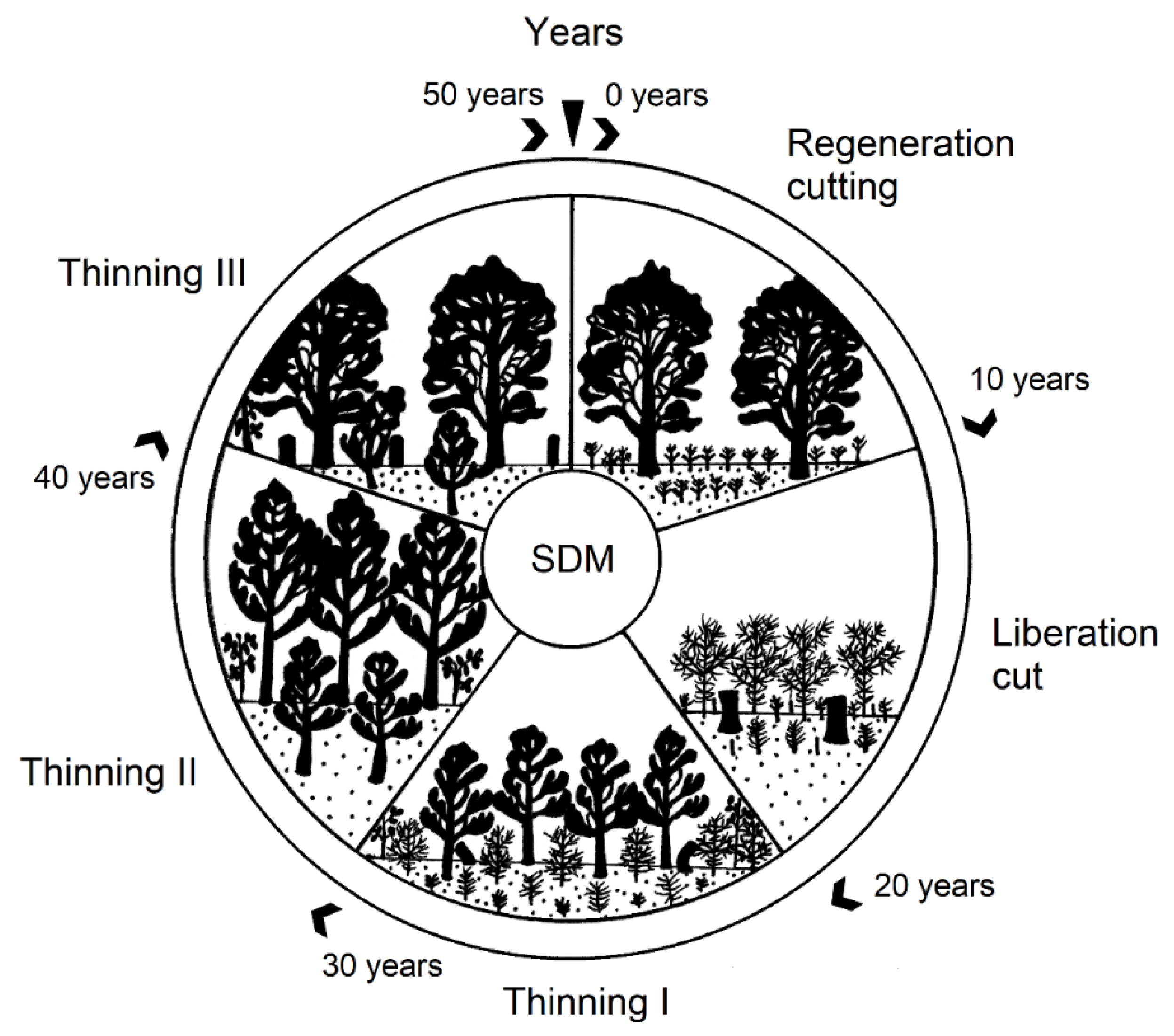 Forests 12 00895 g002 Forests 12 00895 g002