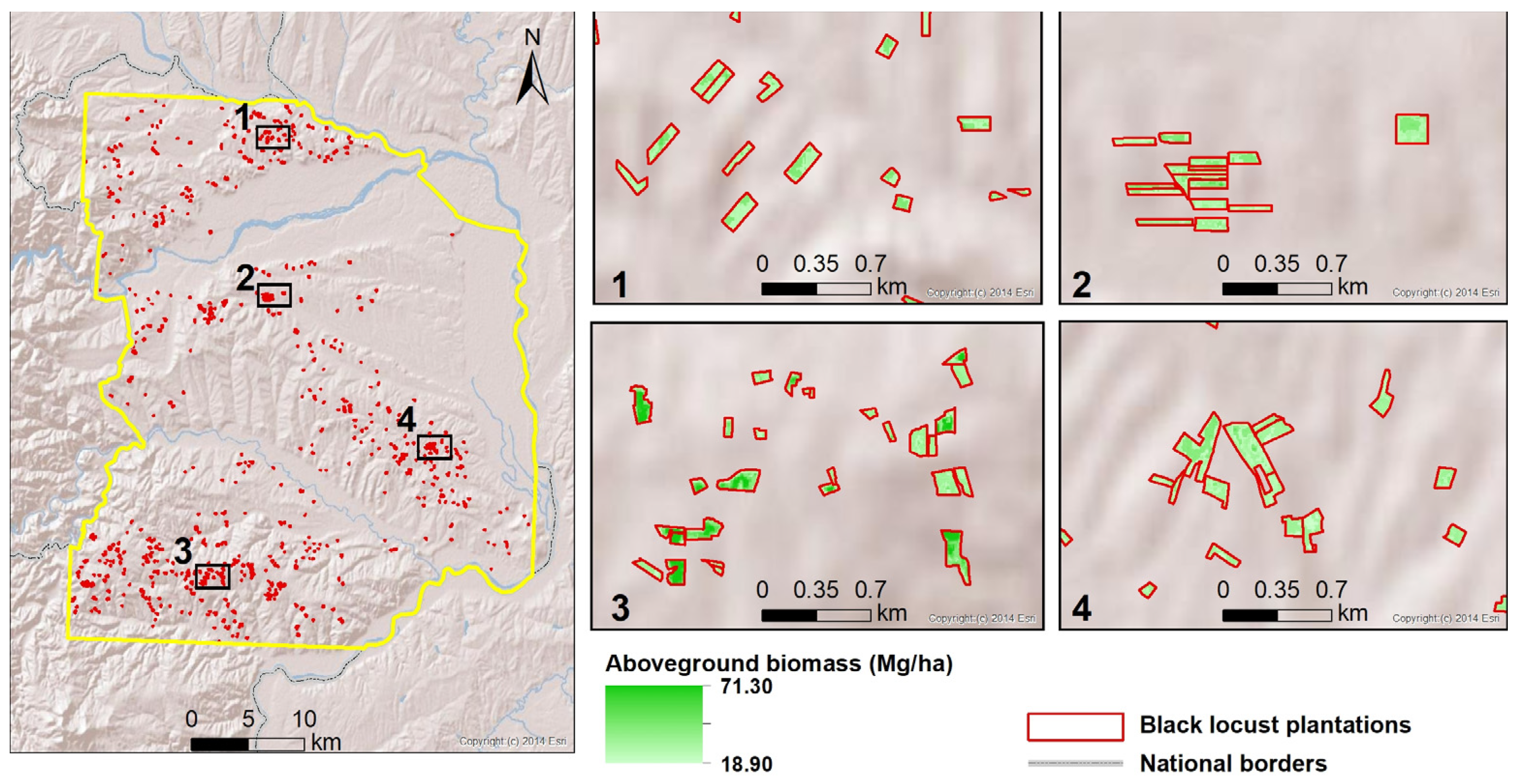 Forests 12 00902 g005