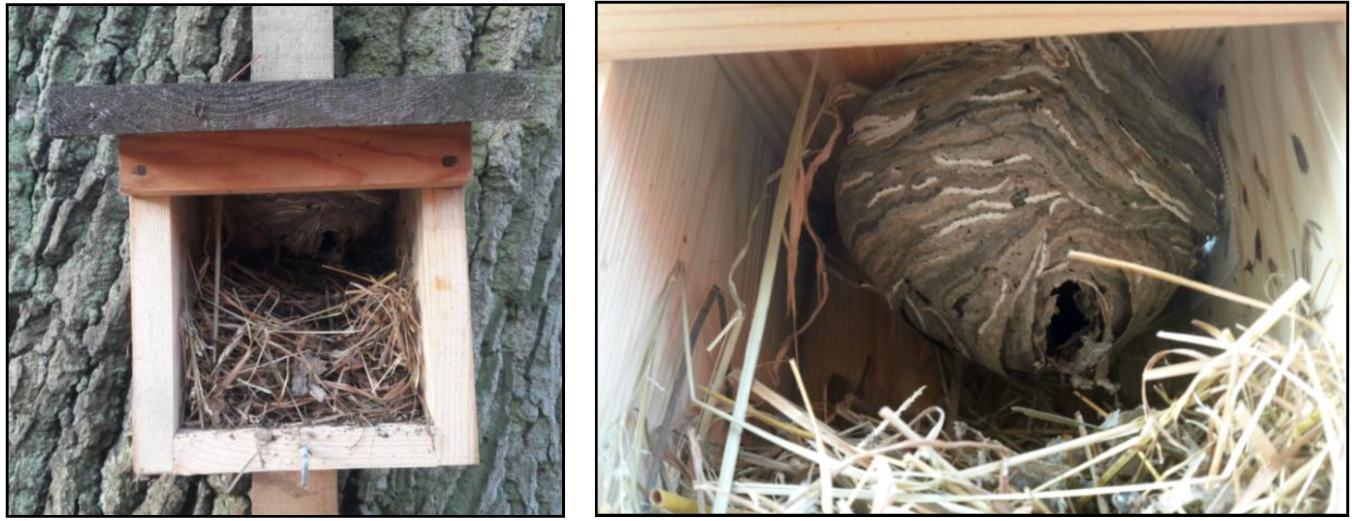 Forests 12 00907 g006