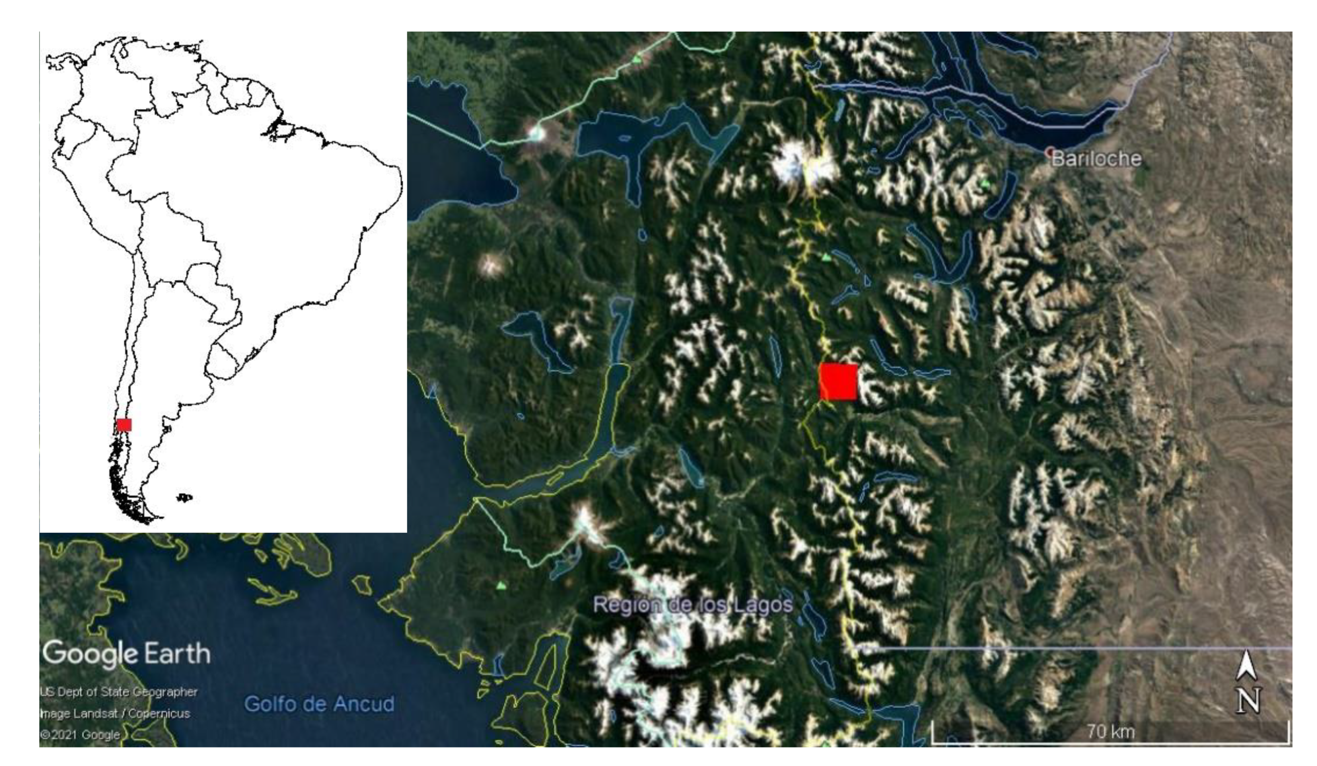 Forests 12 00923 g002 Forests 12 00923 g002