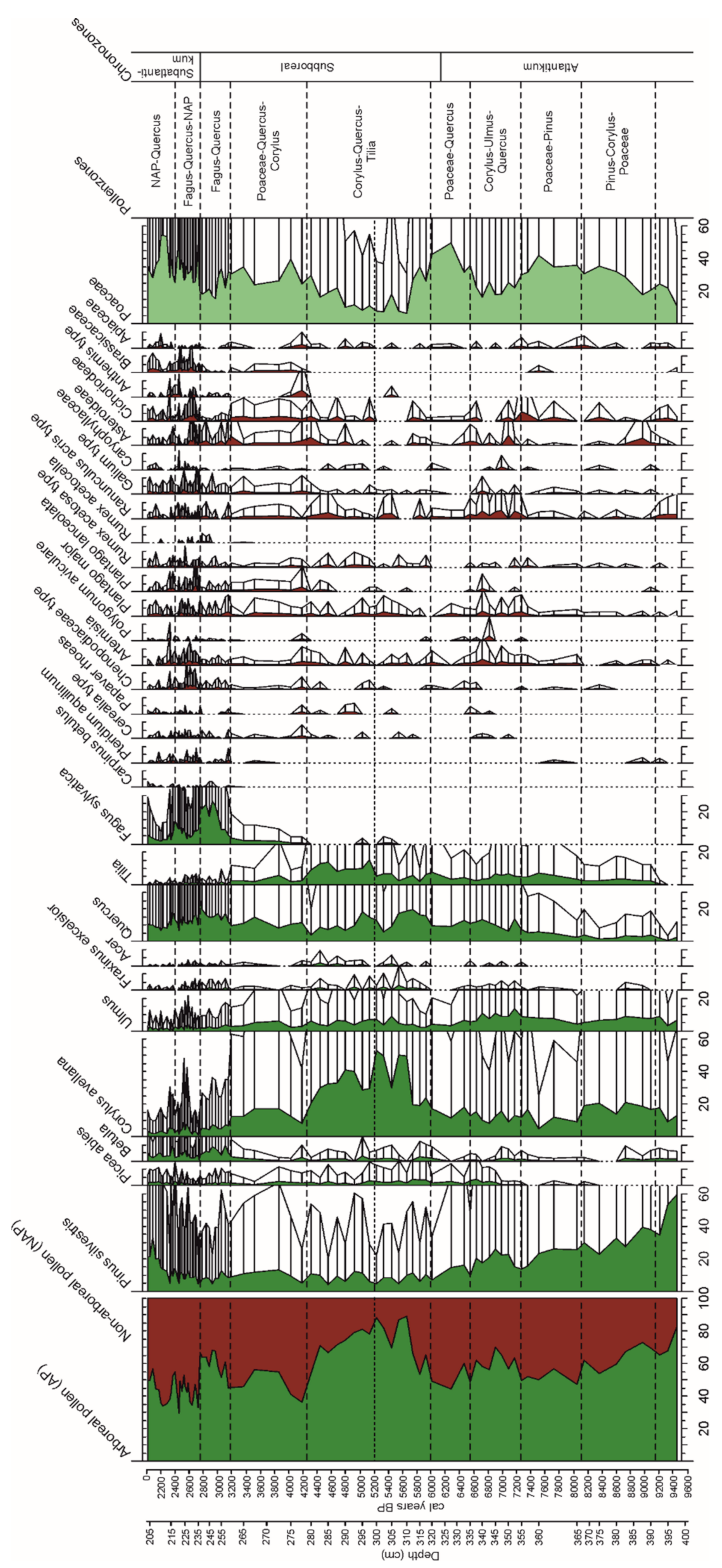 Forests 12 00924 g004