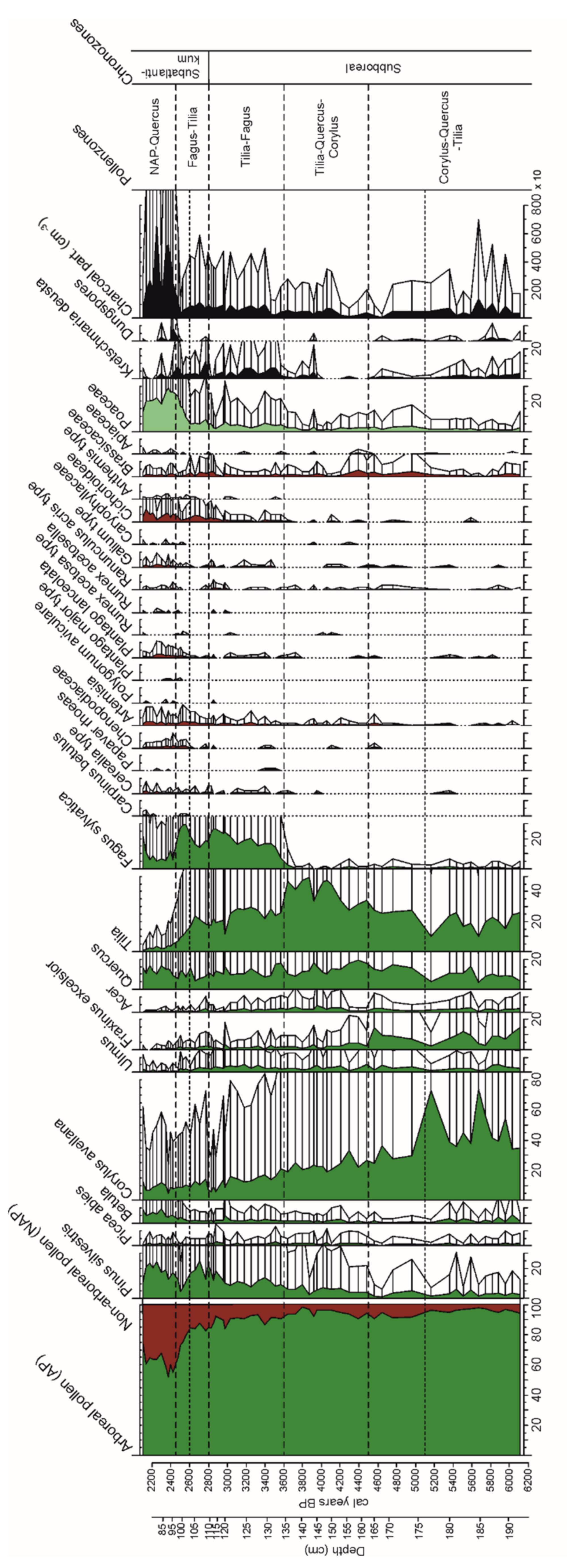 Forests 12 00924 g005
