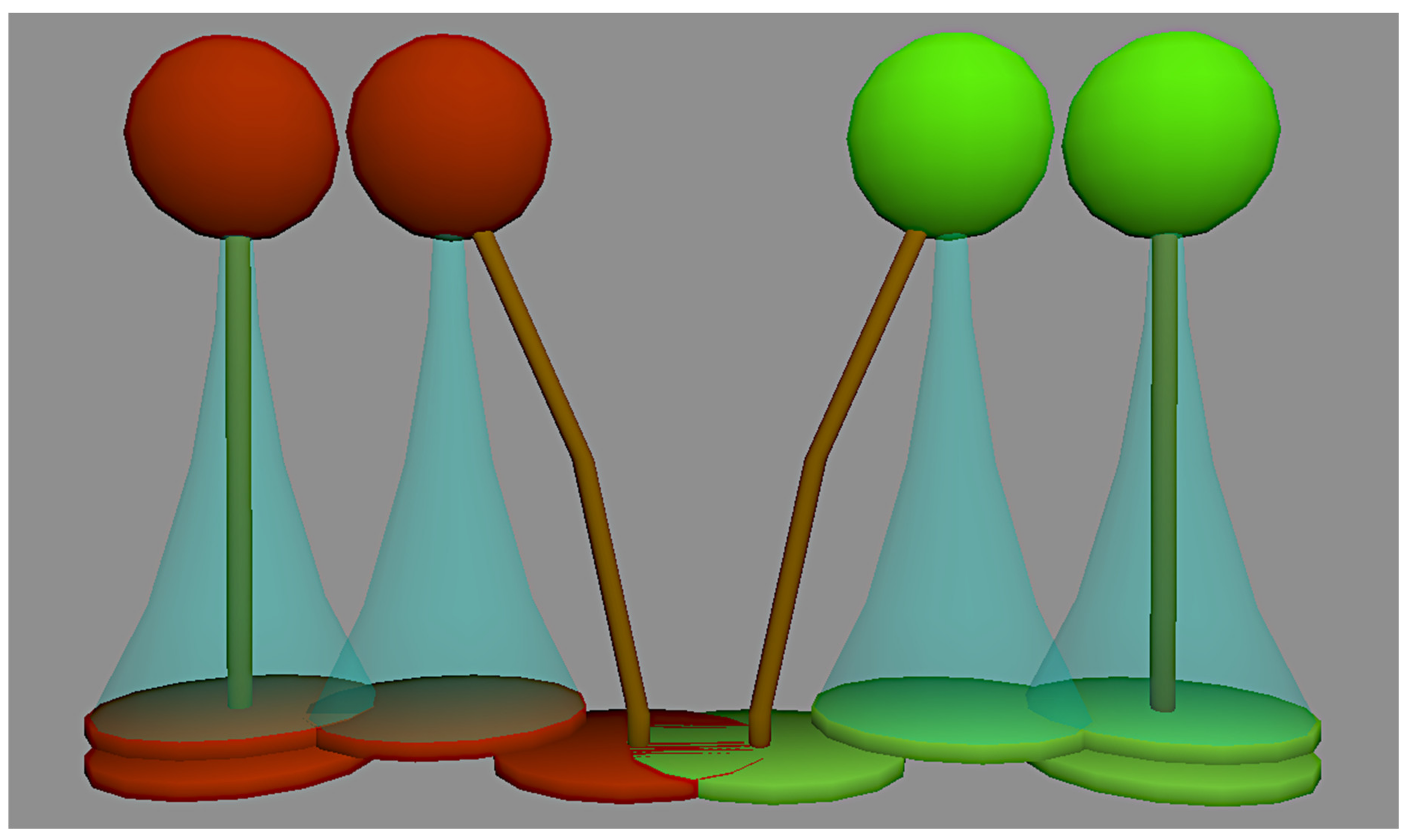 Forests 12 00955 g001