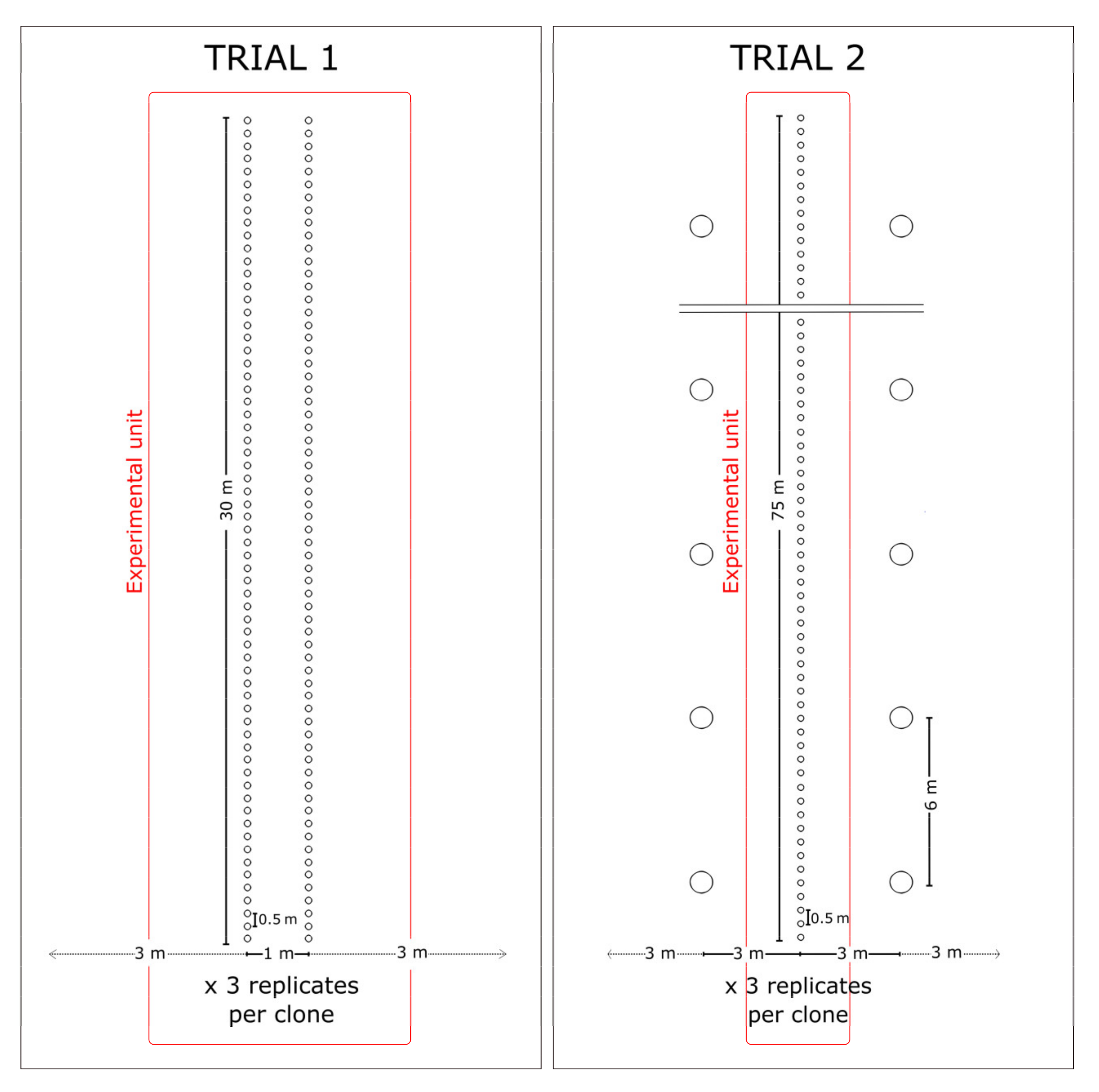 Forests 12 00960 g001