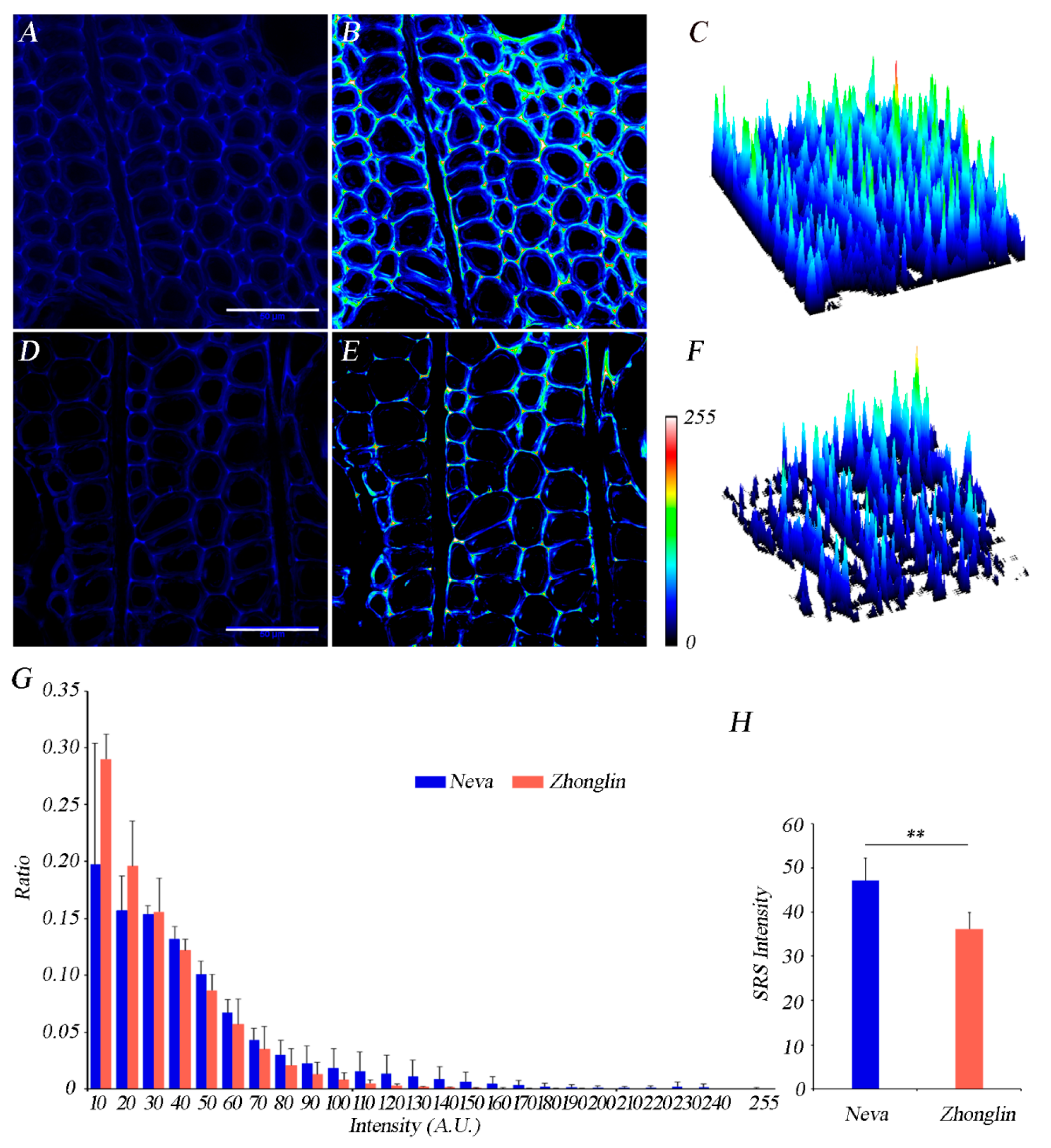Forests 12 00972 g003