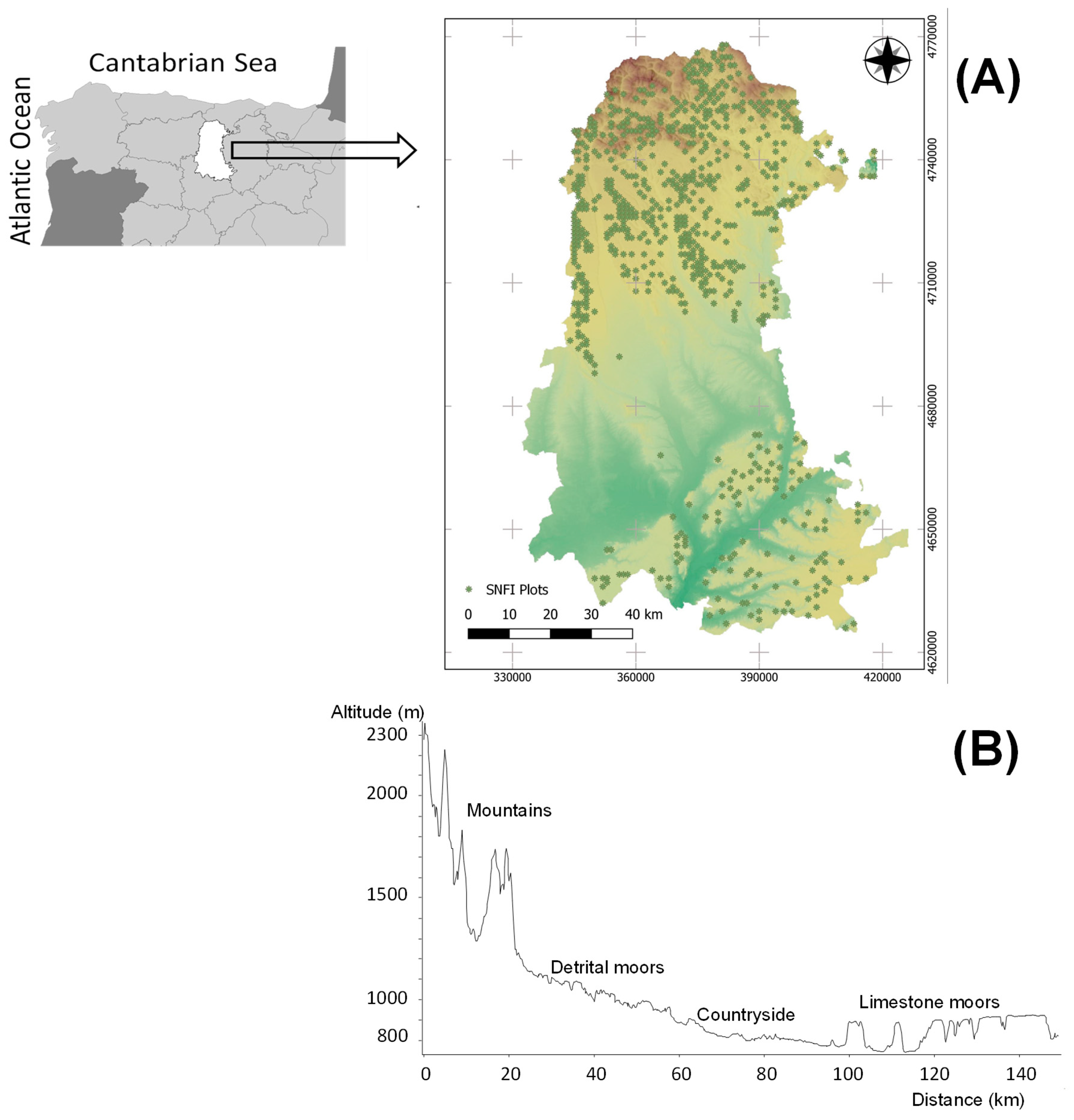 Forests 12 00982 g001 Forests 12 00982 g001