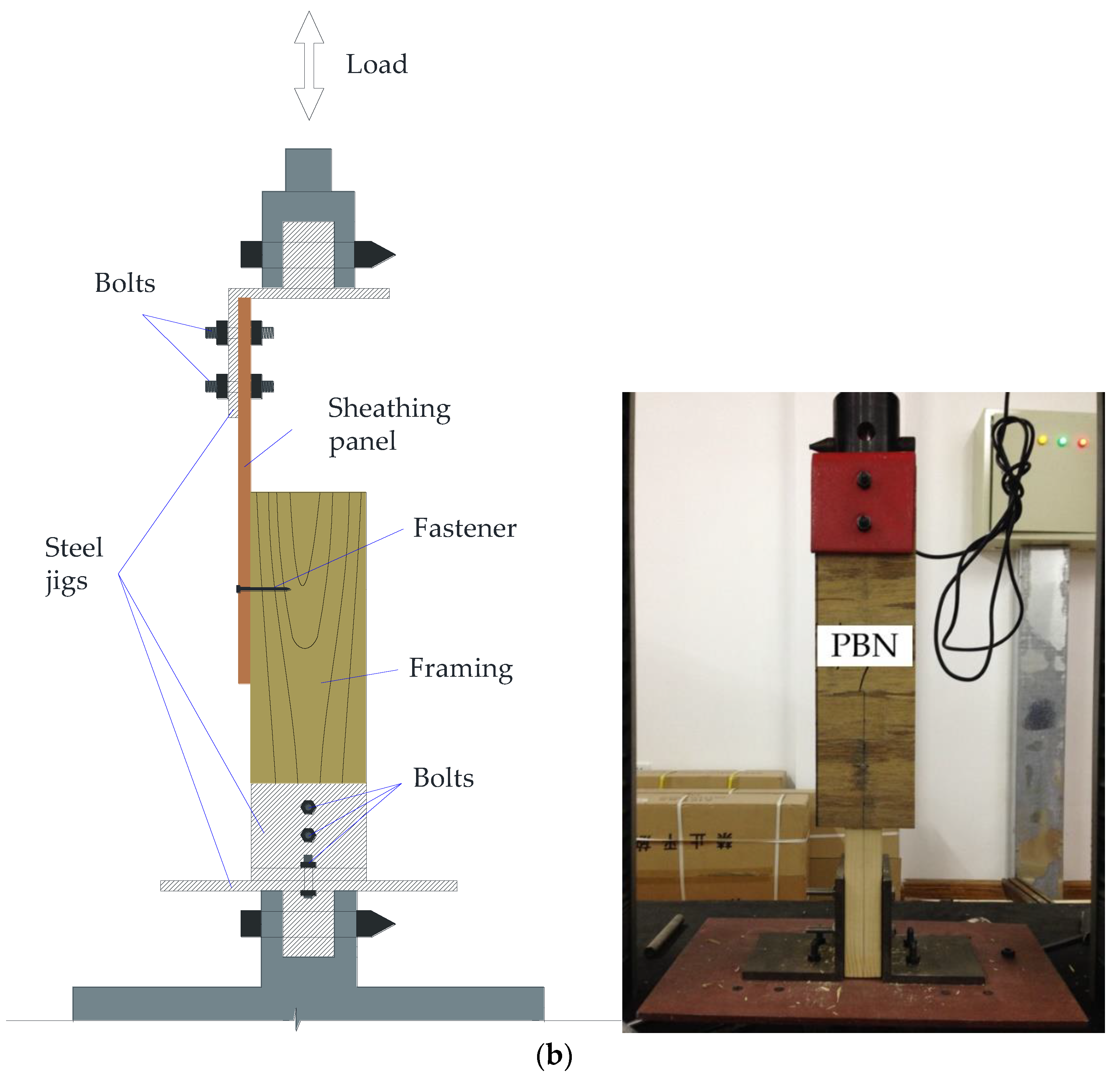 Forests 12 00995 g002b