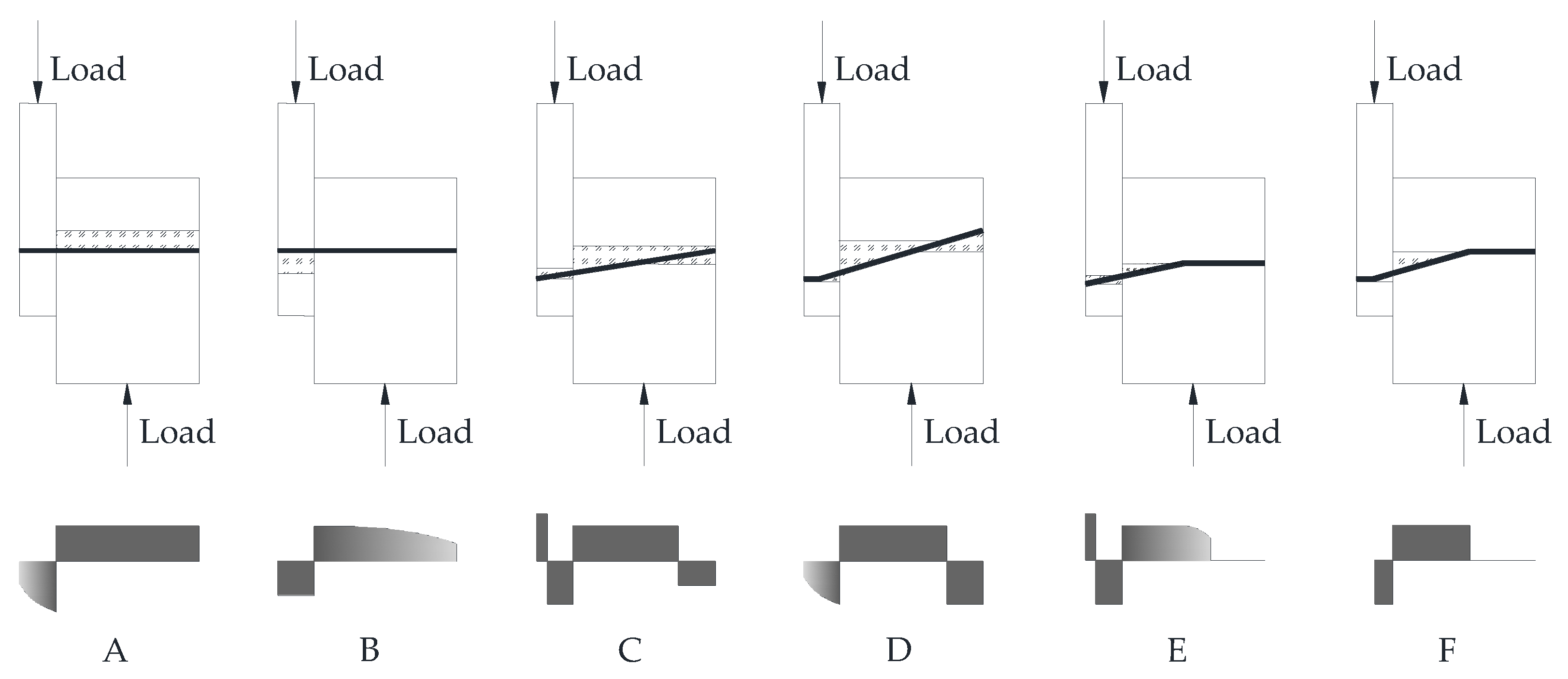 Forests 12 00995 g003