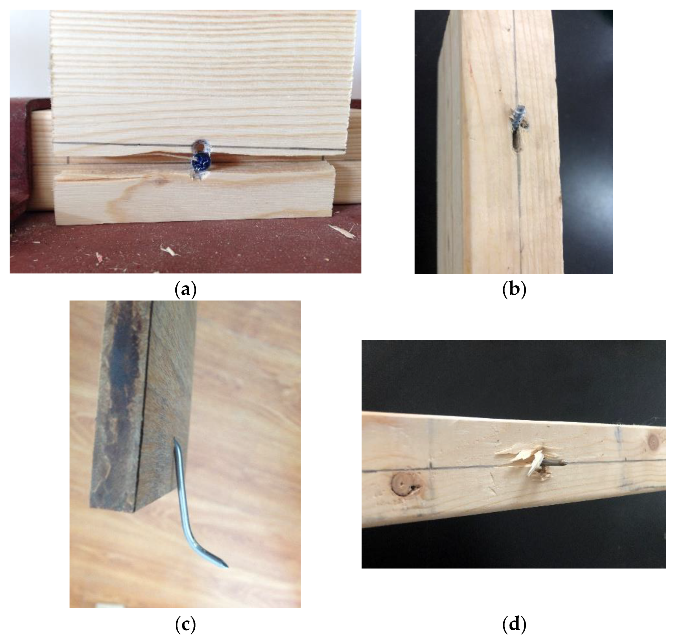 Forests 12 00995 g004